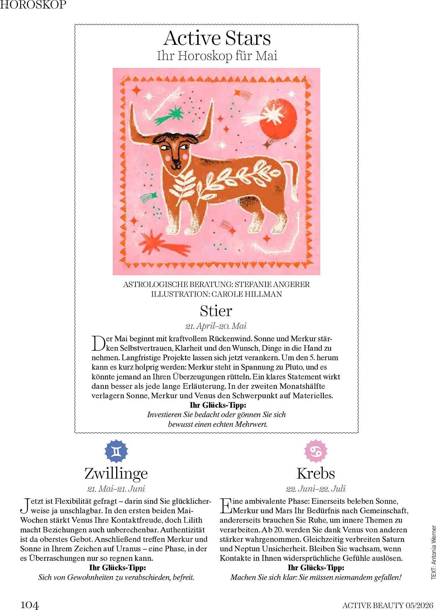 Dm Flugblatt
