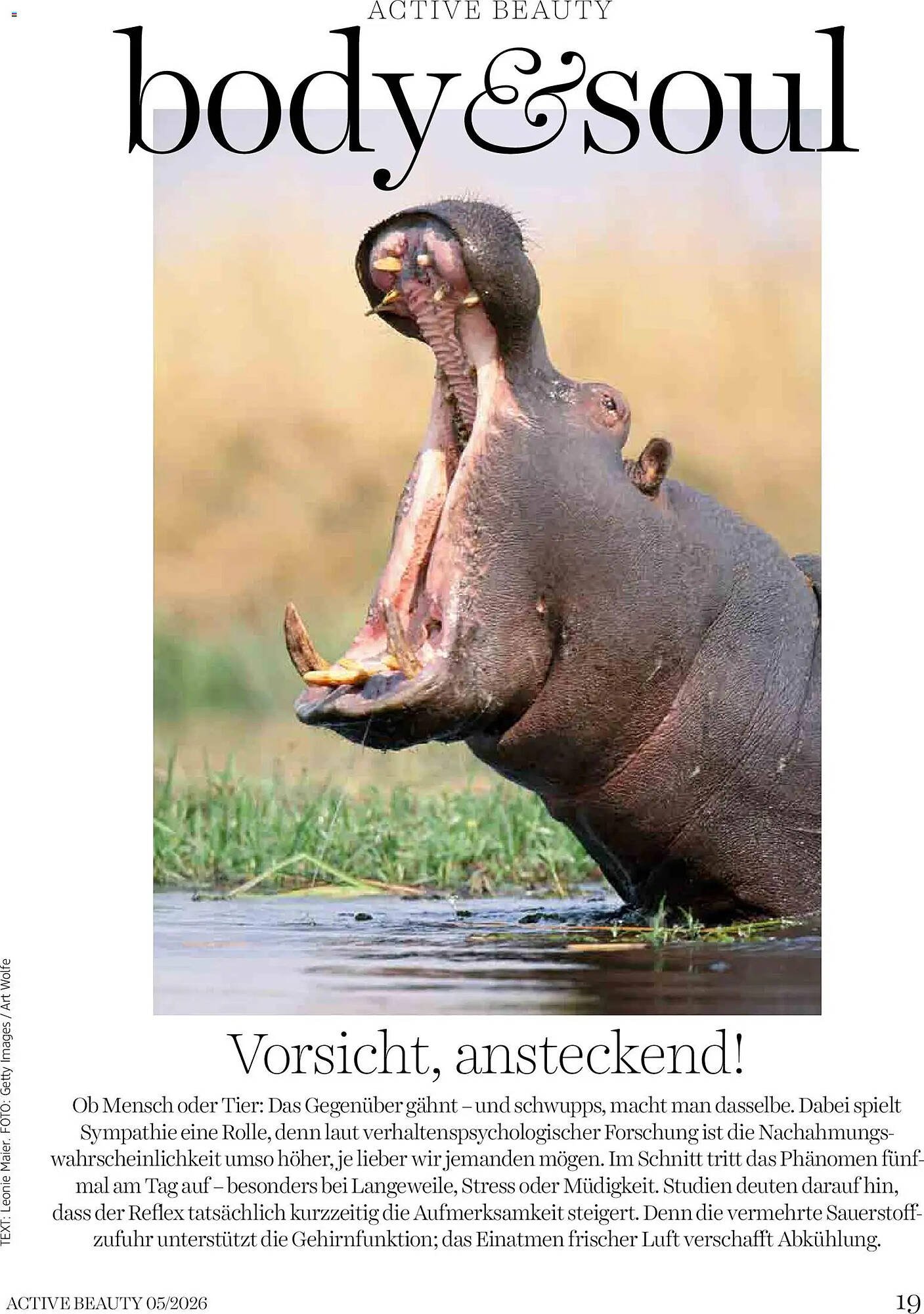 Dm Flugblatt