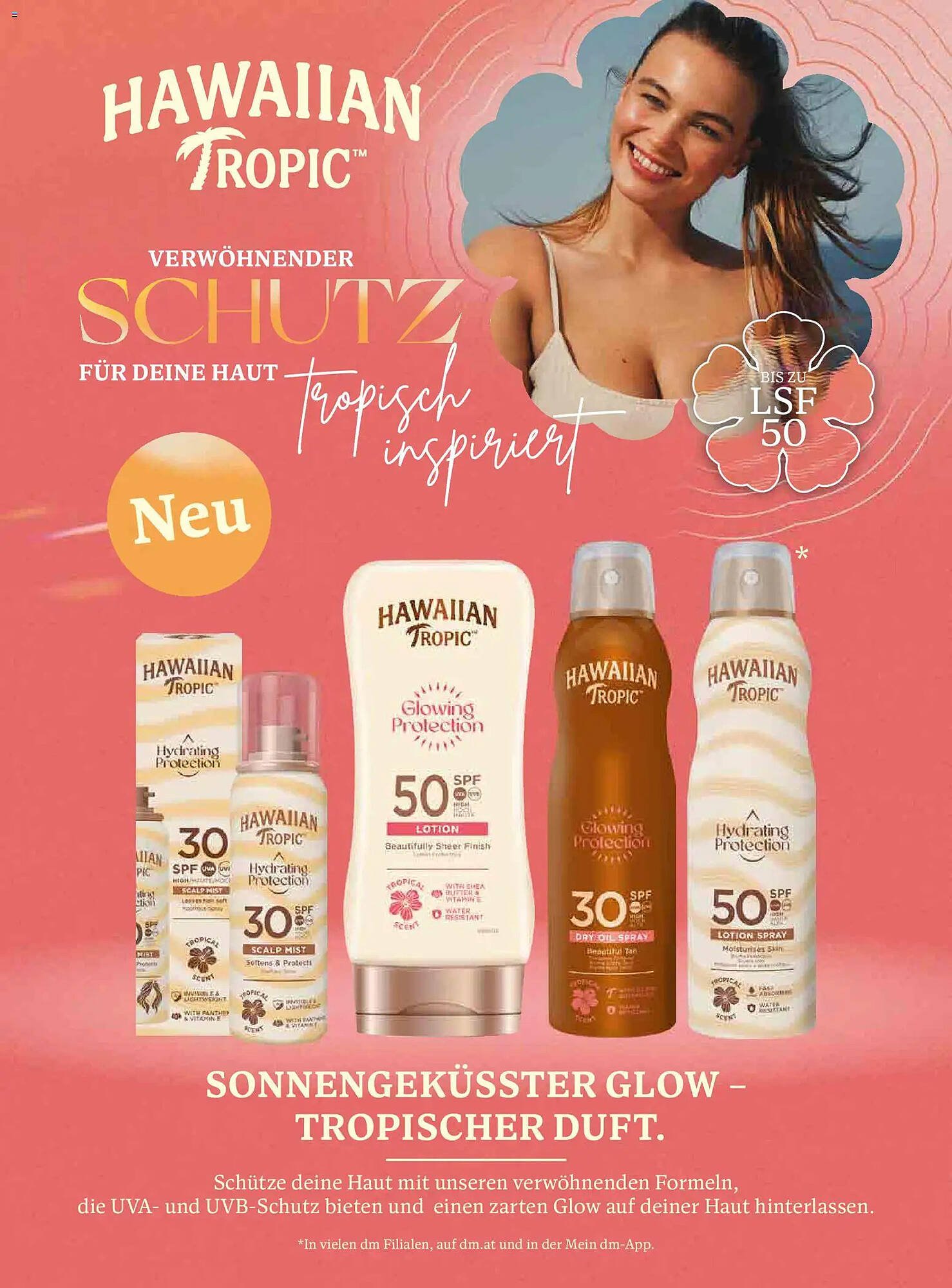 Dm Flugblatt
