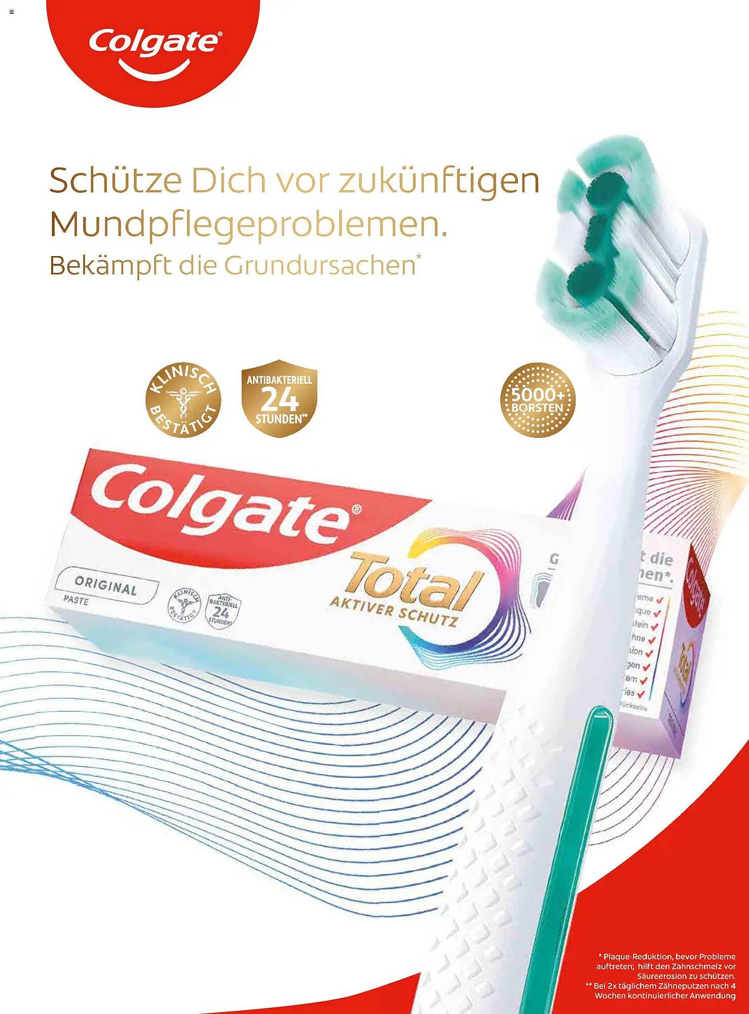 Dm Flugblatt