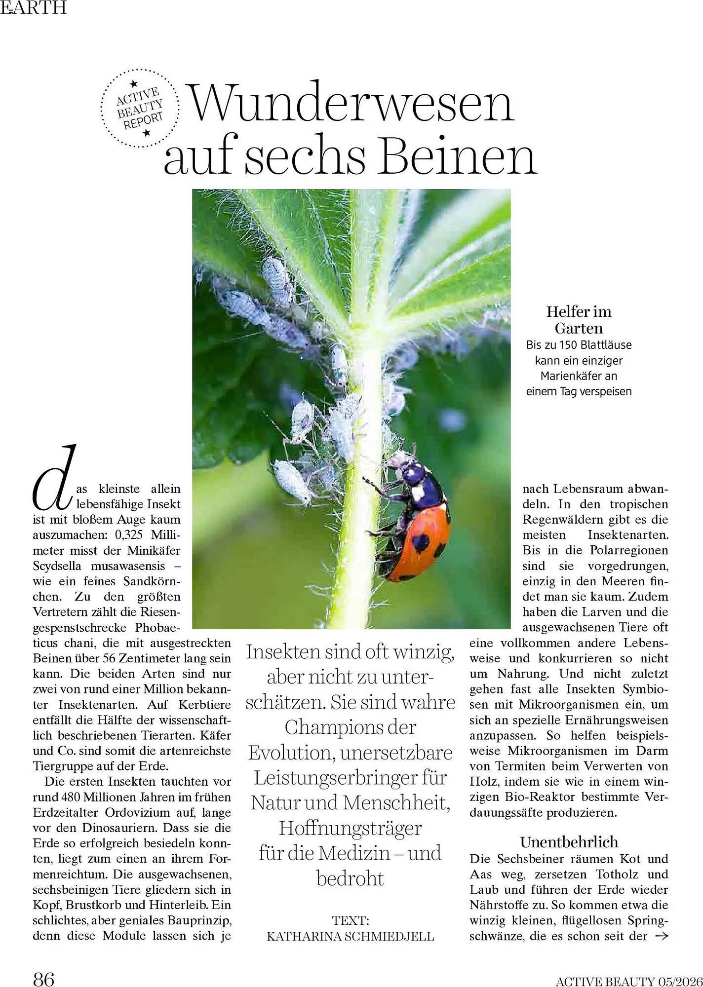 Dm Flugblatt