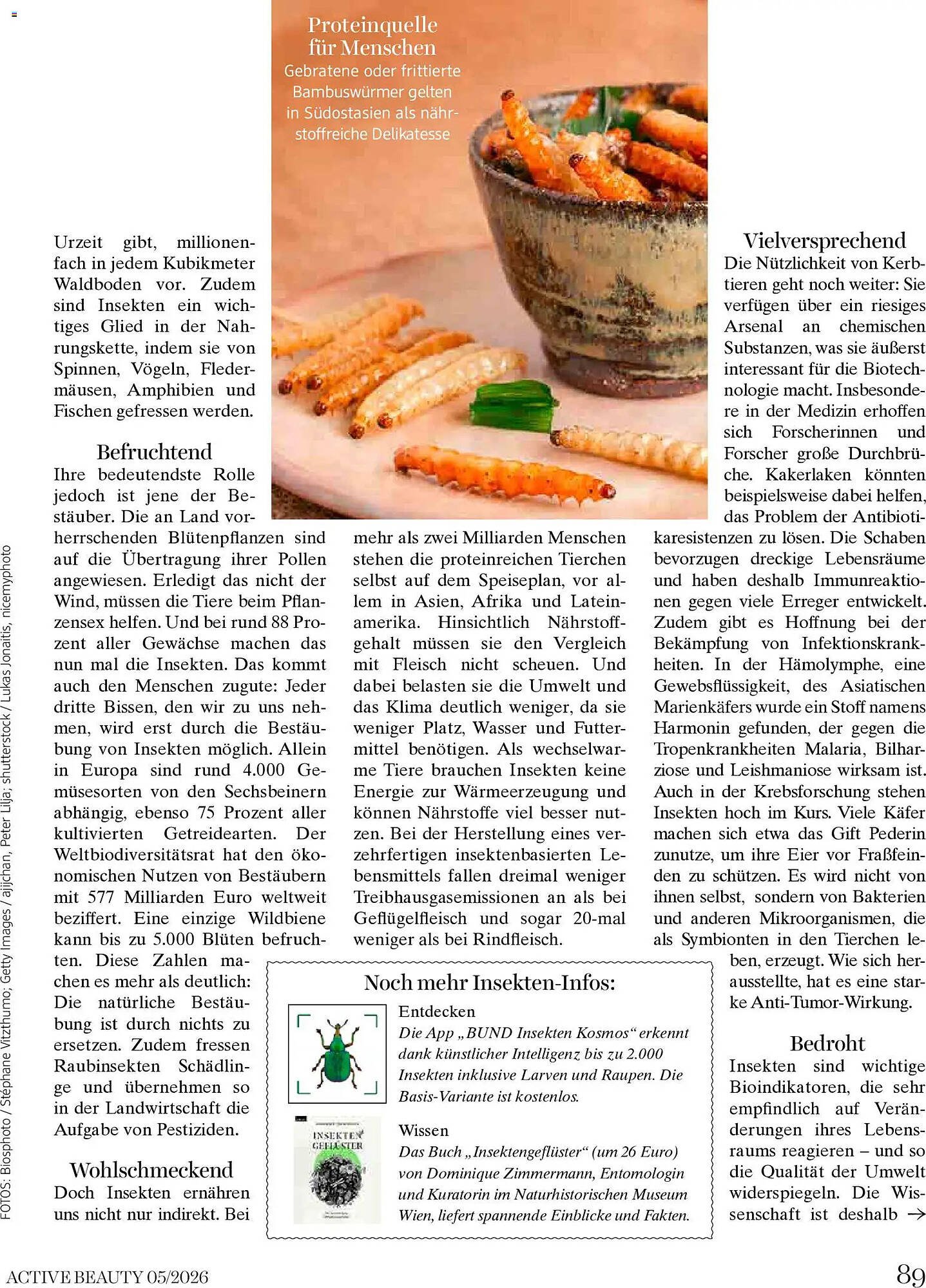 Dm Flugblatt