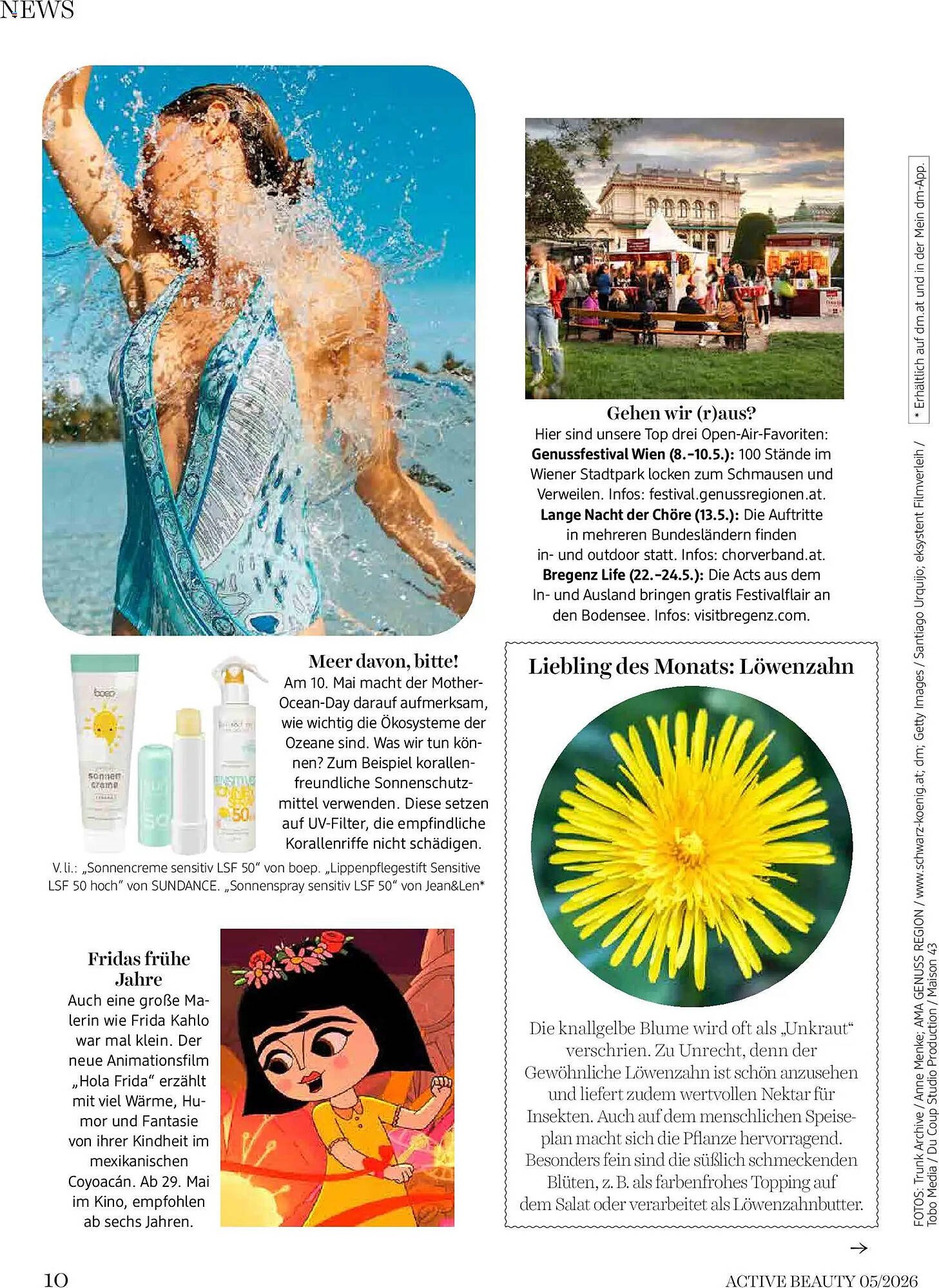 Dm Flugblatt