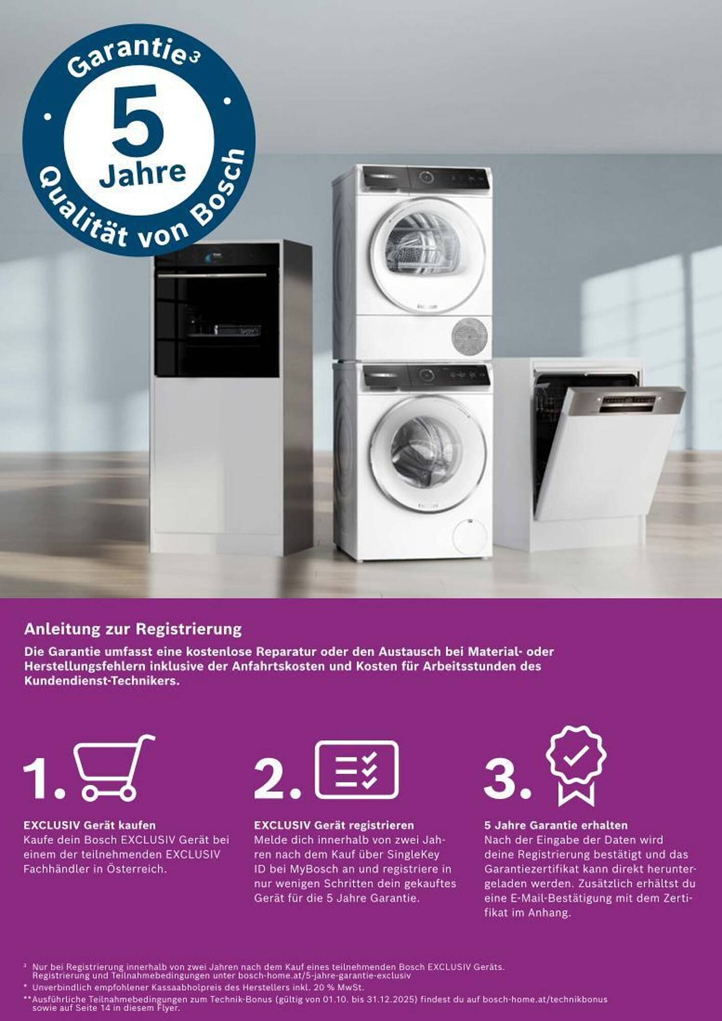 Bosch Professional Flugblatt