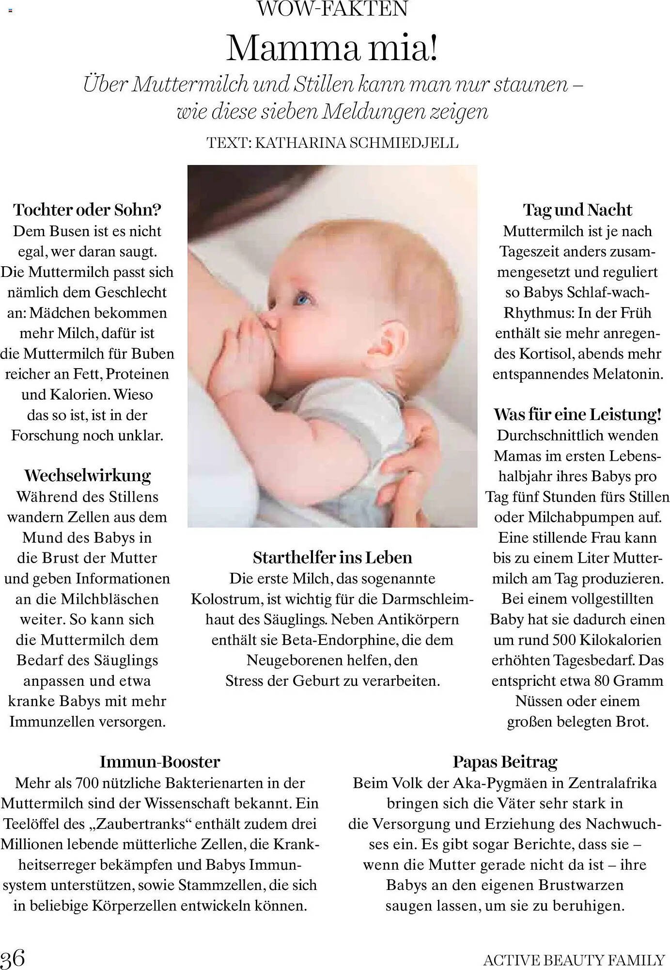 Dm Flugblatt