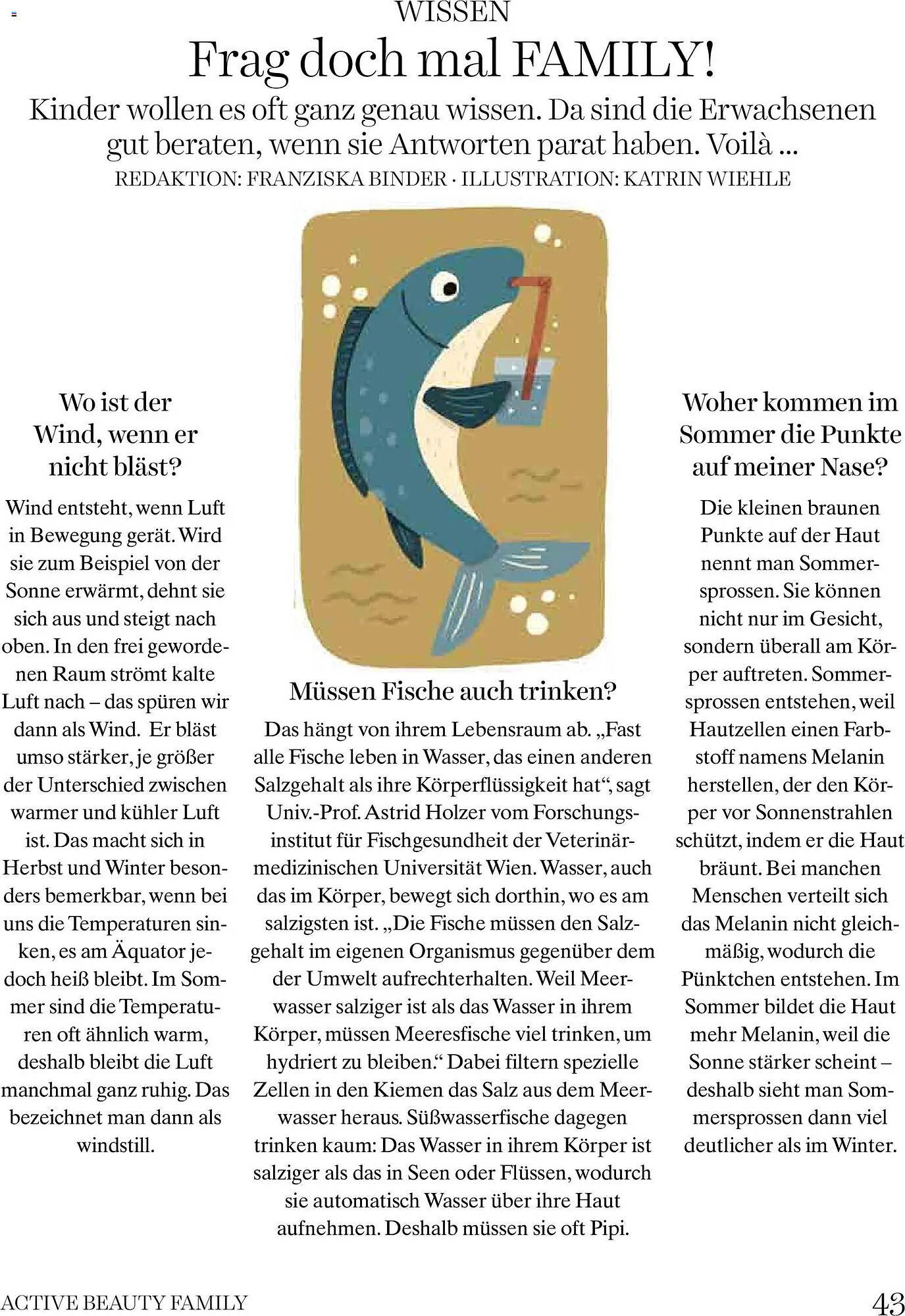Dm Flugblatt