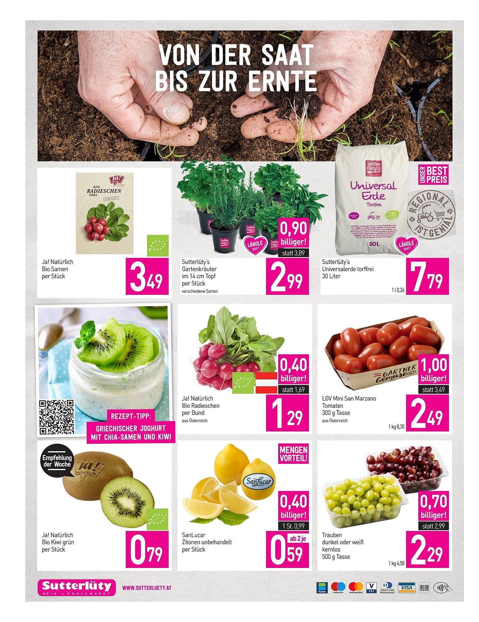 Sutterlüty Flugblatt