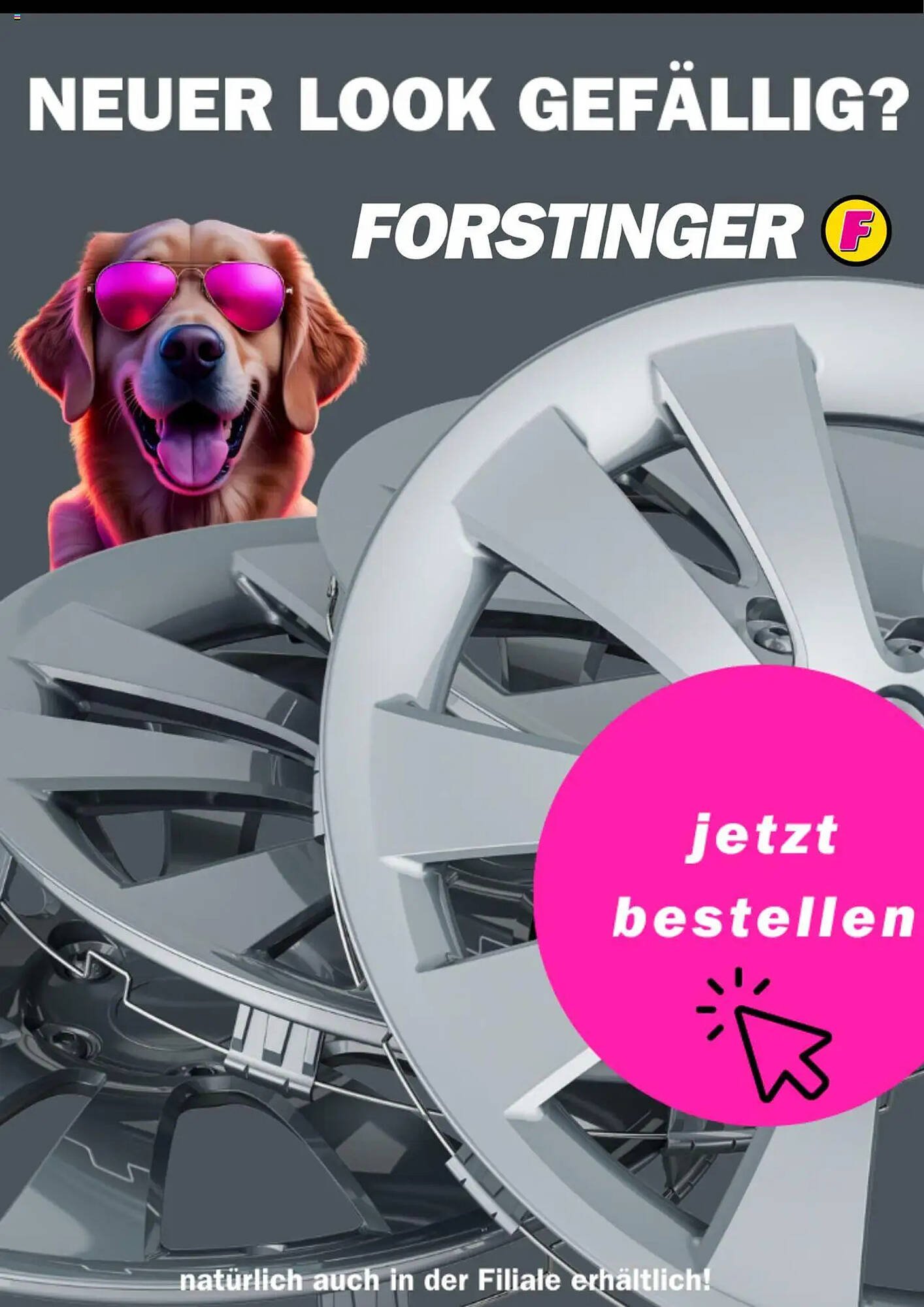 Forstinger Flugblatt (2025-08-15 - 2025-08-23) | 1