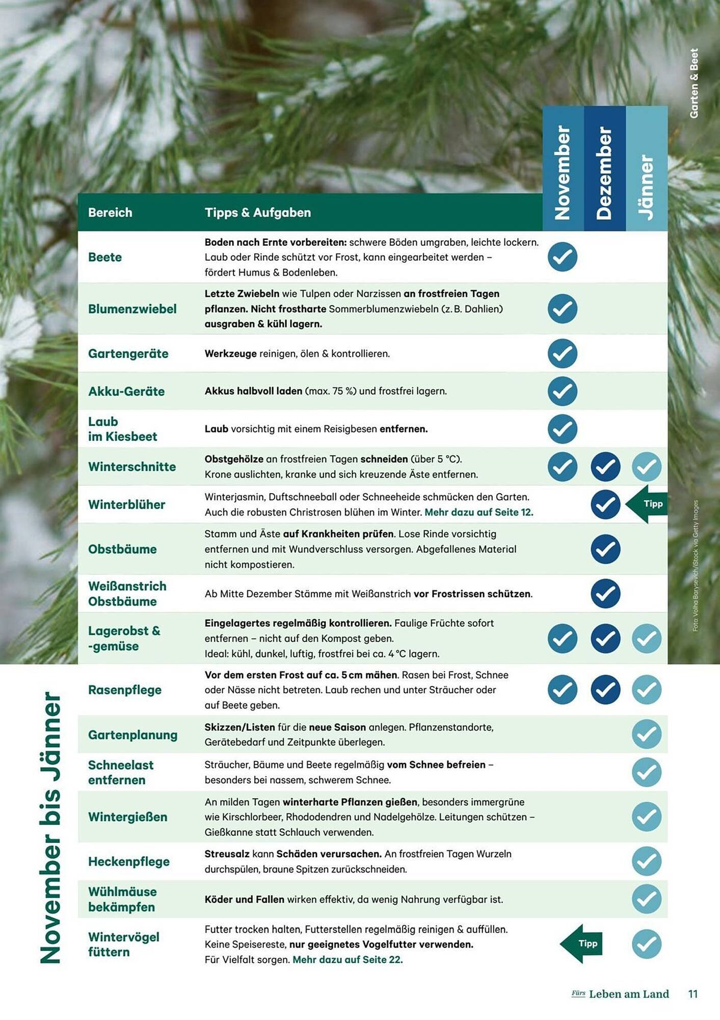 Lagerhaus Flugblatt (2025-12-11 - 2026-02-06) | 11