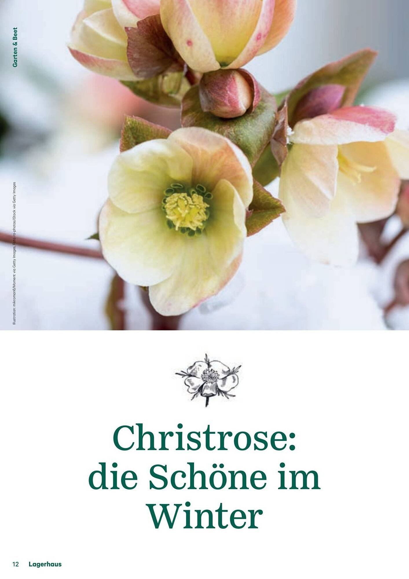 Lagerhaus Flugblatt (2025-12-11 - 2026-02-06) | 12