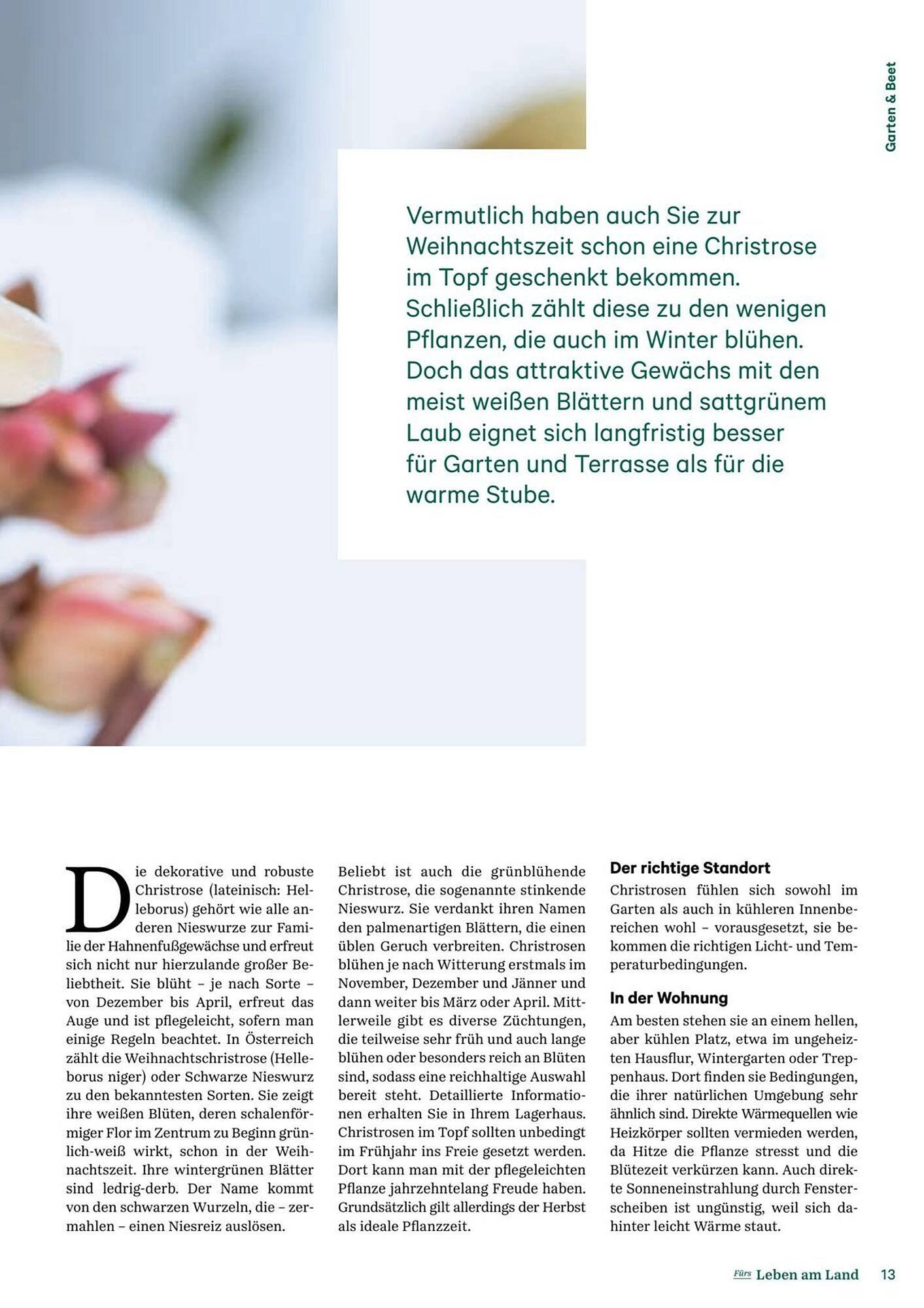 Lagerhaus Flugblatt (2025-12-11 - 2026-02-06) | 13