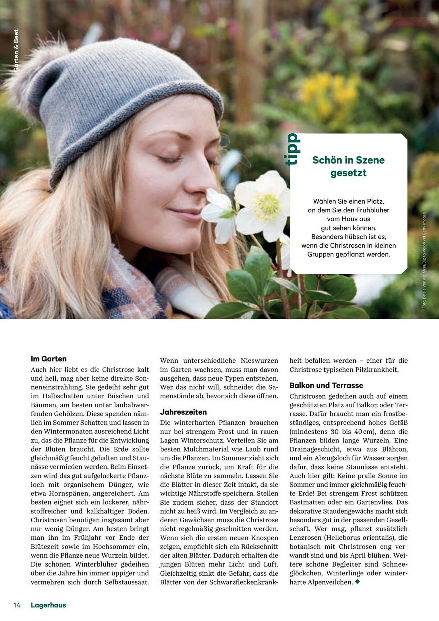 Lagerhaus Flugblatt (2025-12-11 - 2026-02-06) | 14