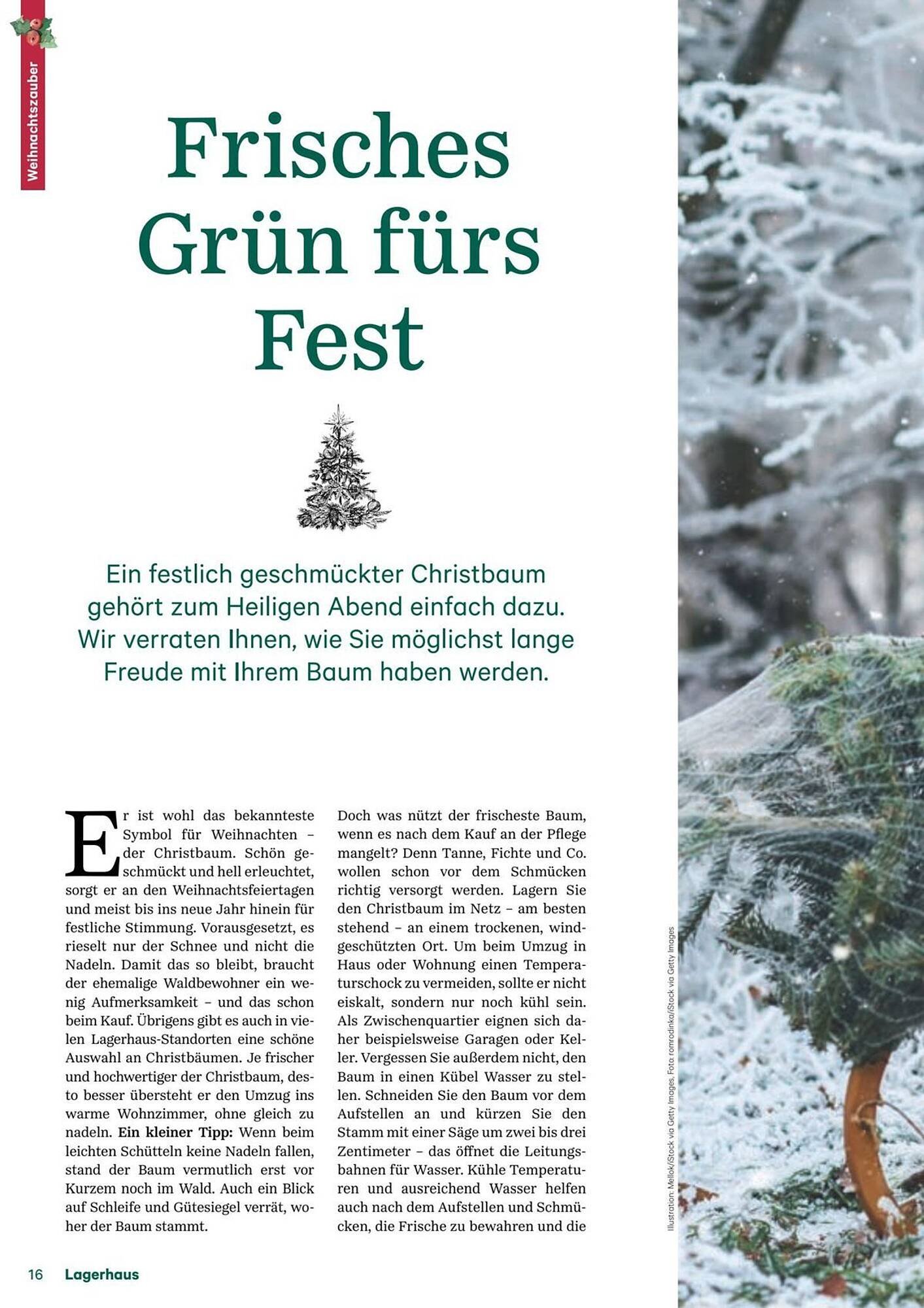 Lagerhaus Flugblatt (2025-12-11 - 2026-02-06) | 16