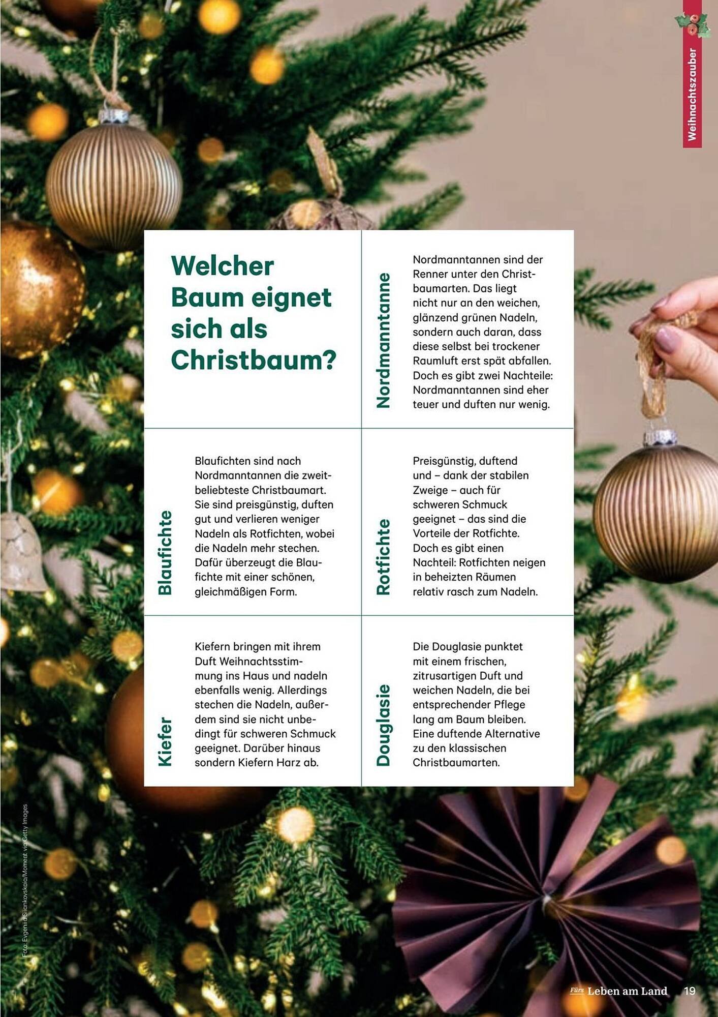 Lagerhaus Flugblatt (2025-12-11 - 2026-02-06) | 19