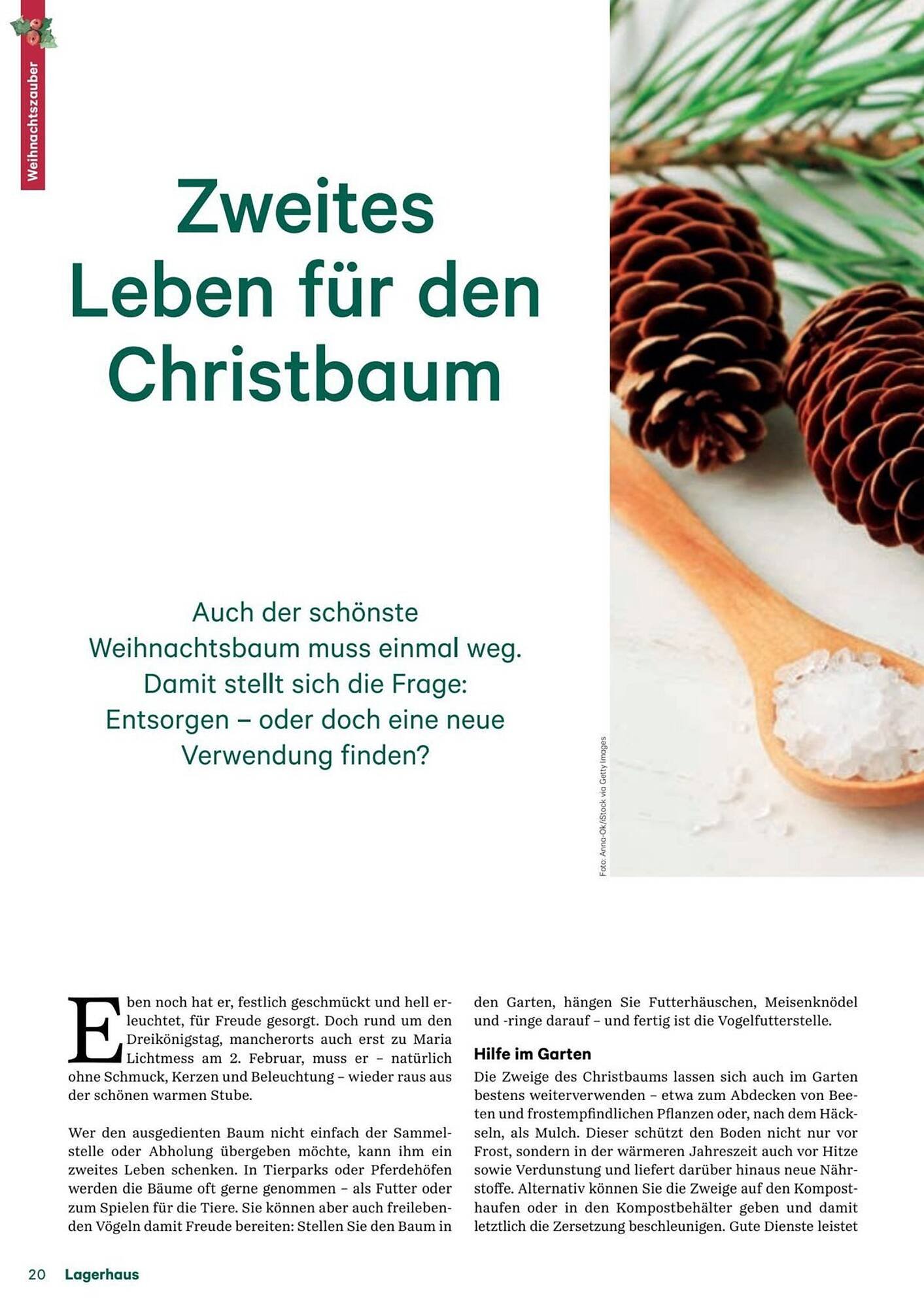 Lagerhaus Flugblatt (2025-12-11 - 2026-02-06) | 20