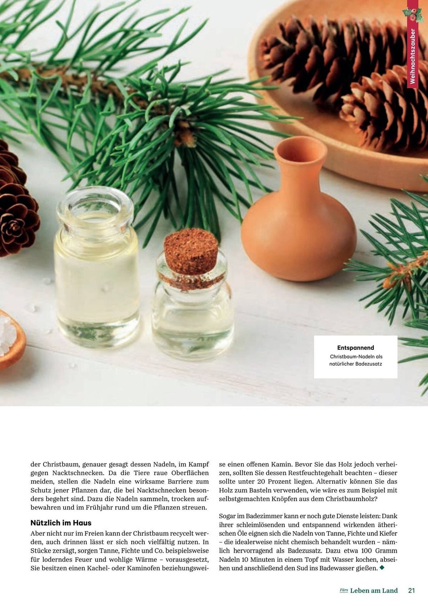 Lagerhaus Flugblatt (2025-12-11 - 2026-02-06) | 21