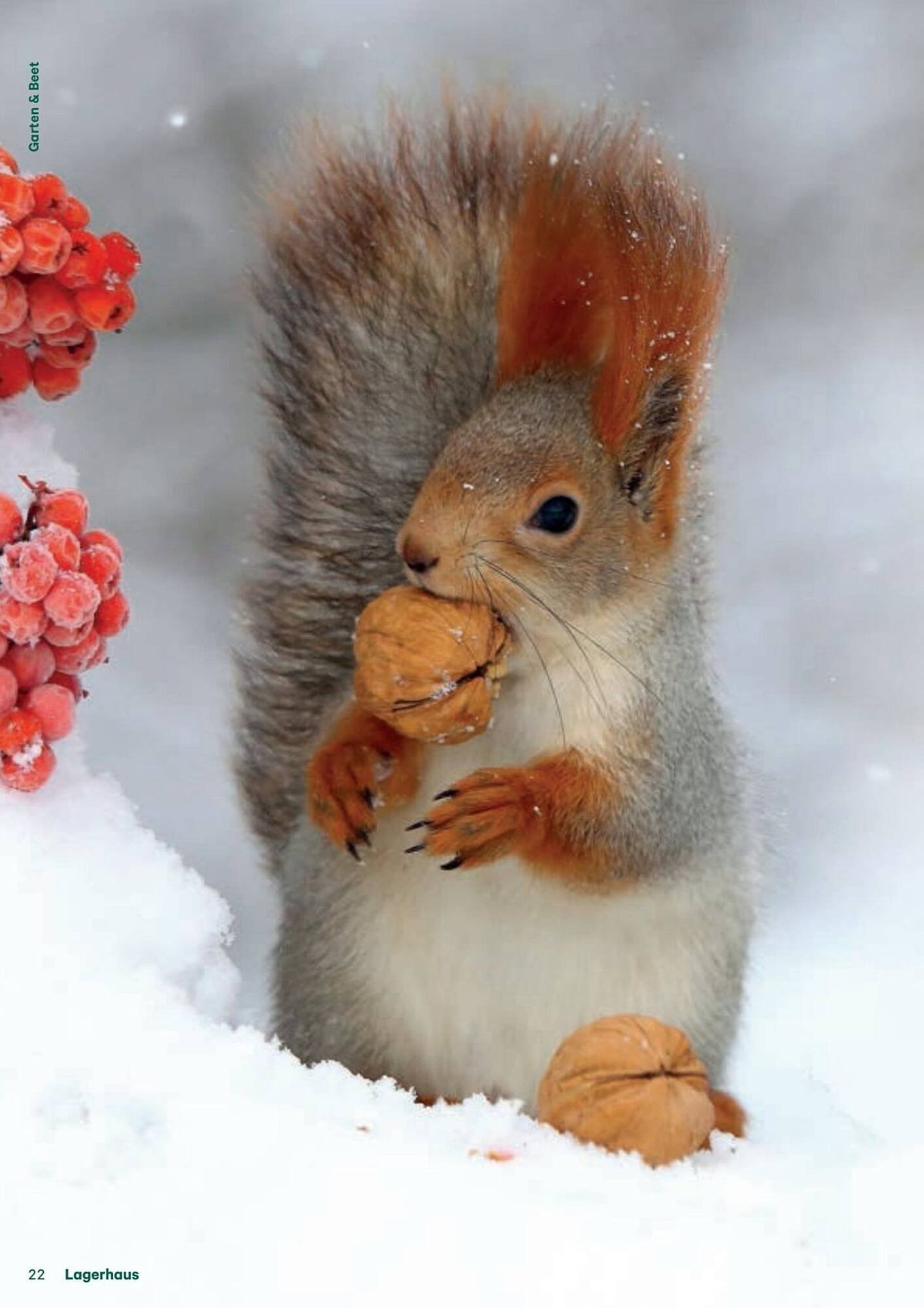 Lagerhaus Flugblatt (2025-12-11 - 2026-02-06) | 22