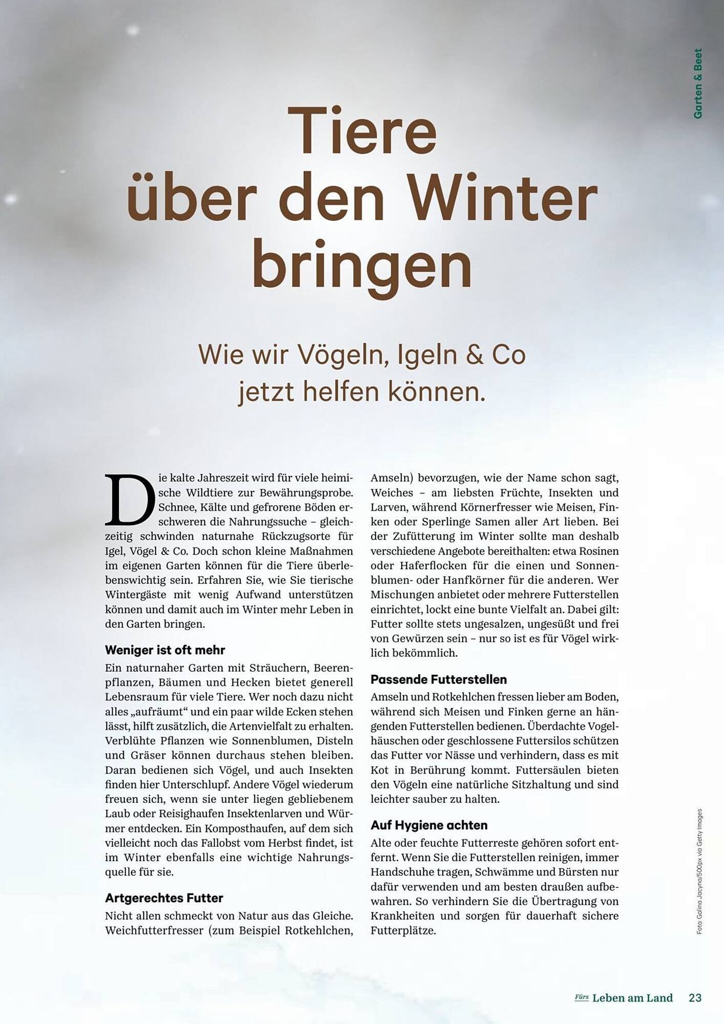Lagerhaus Flugblatt (2025-12-11 - 2026-02-06) | 23