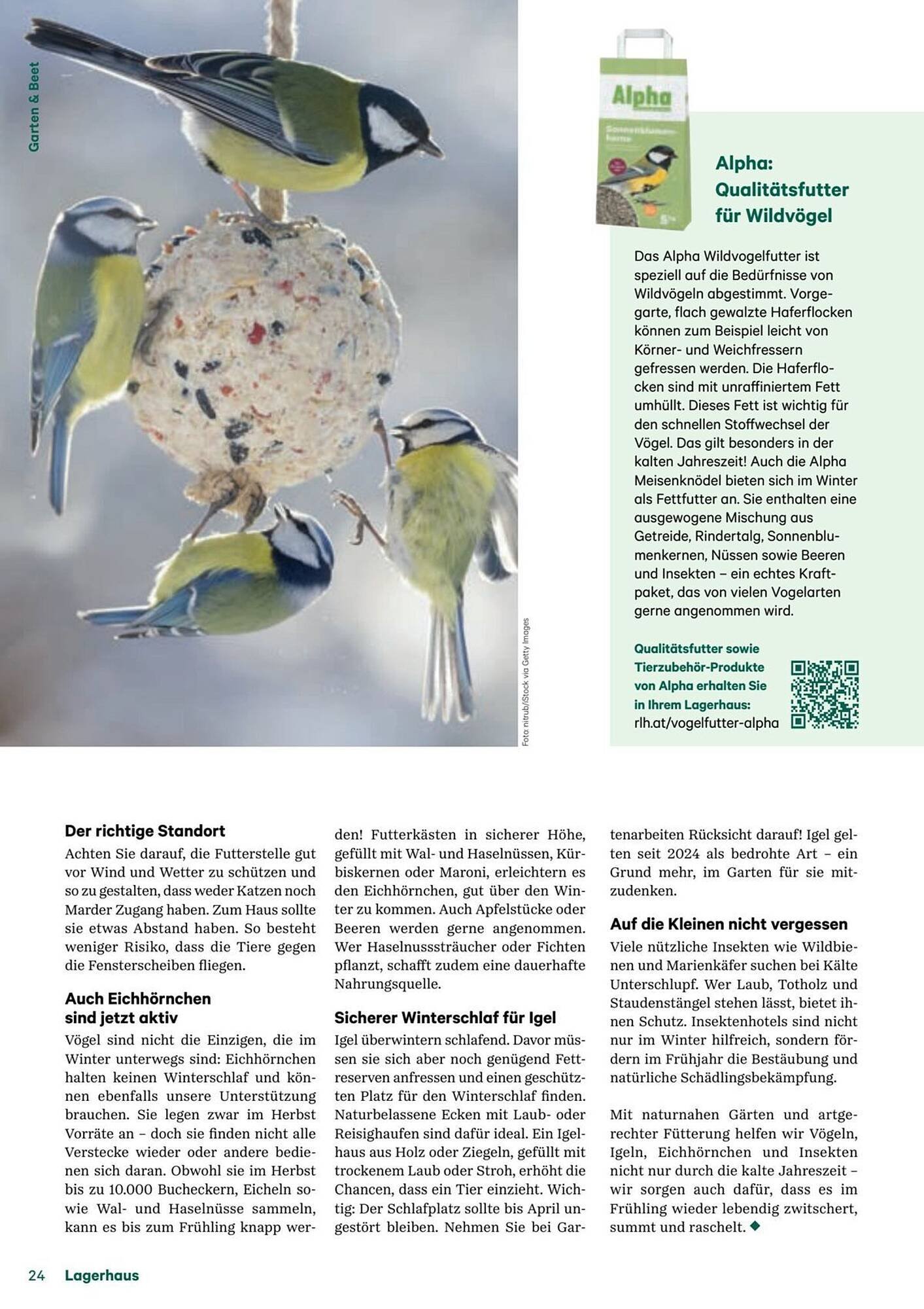 Lagerhaus Flugblatt (2025-12-11 - 2026-02-06) | 24