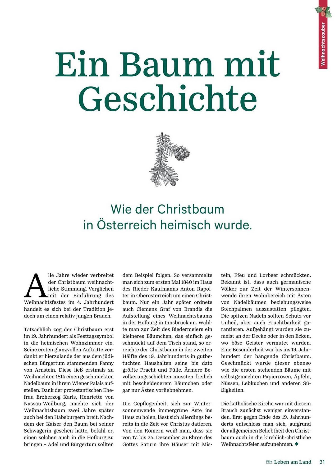 Lagerhaus Flugblatt (2025-12-11 - 2026-02-06) | 31