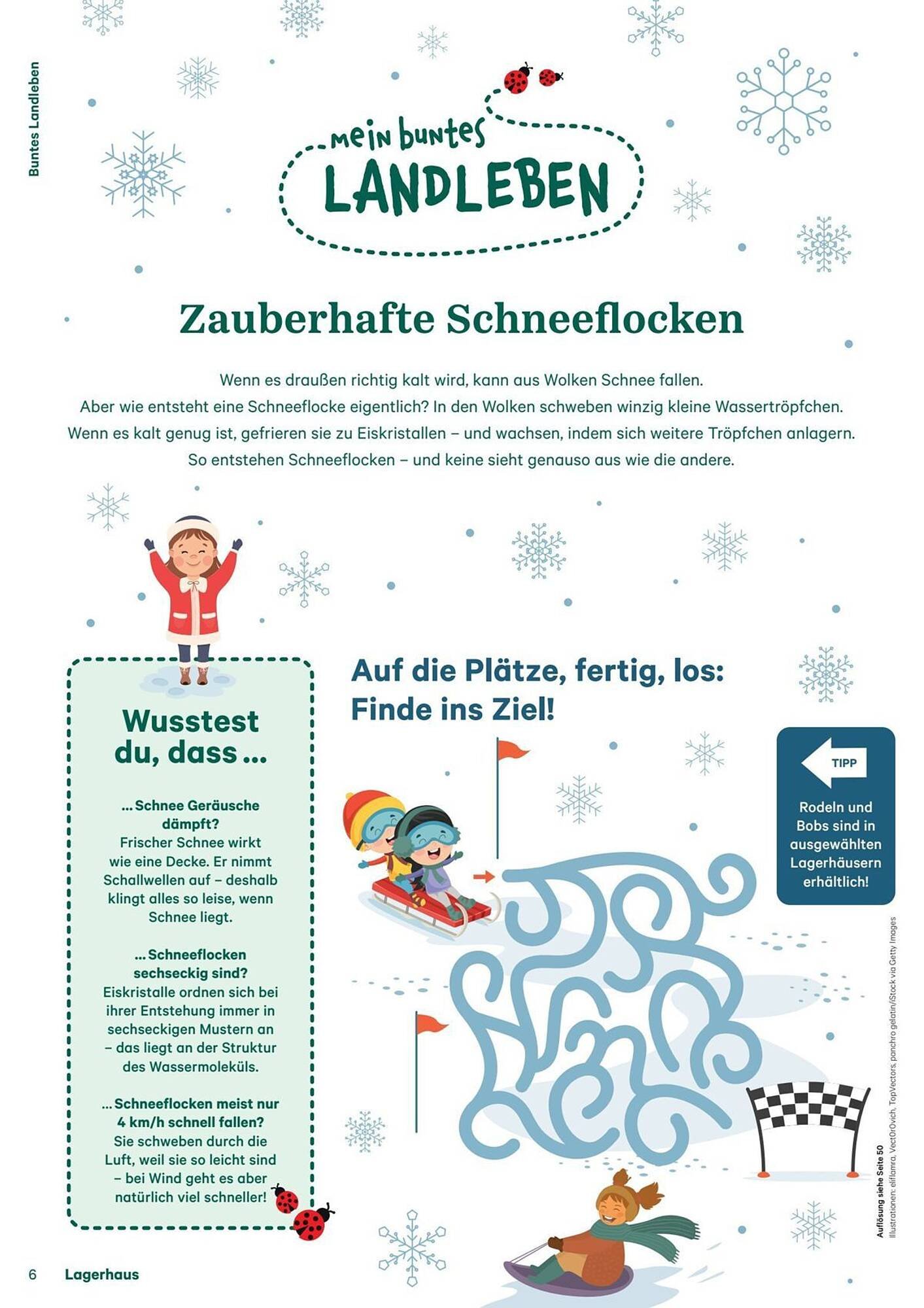 Lagerhaus Flugblatt (2025-12-11 - 2026-02-06) | 6