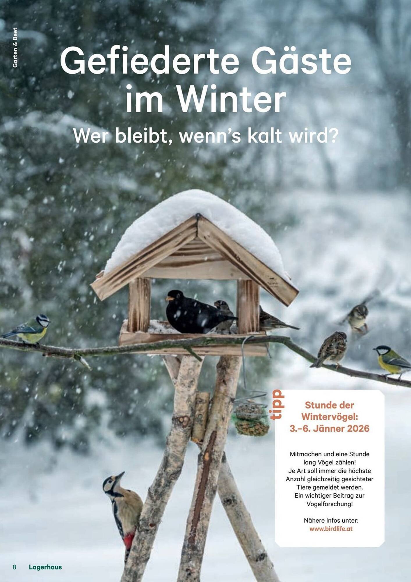 Lagerhaus Flugblatt (2025-12-11 - 2026-02-06) | 8