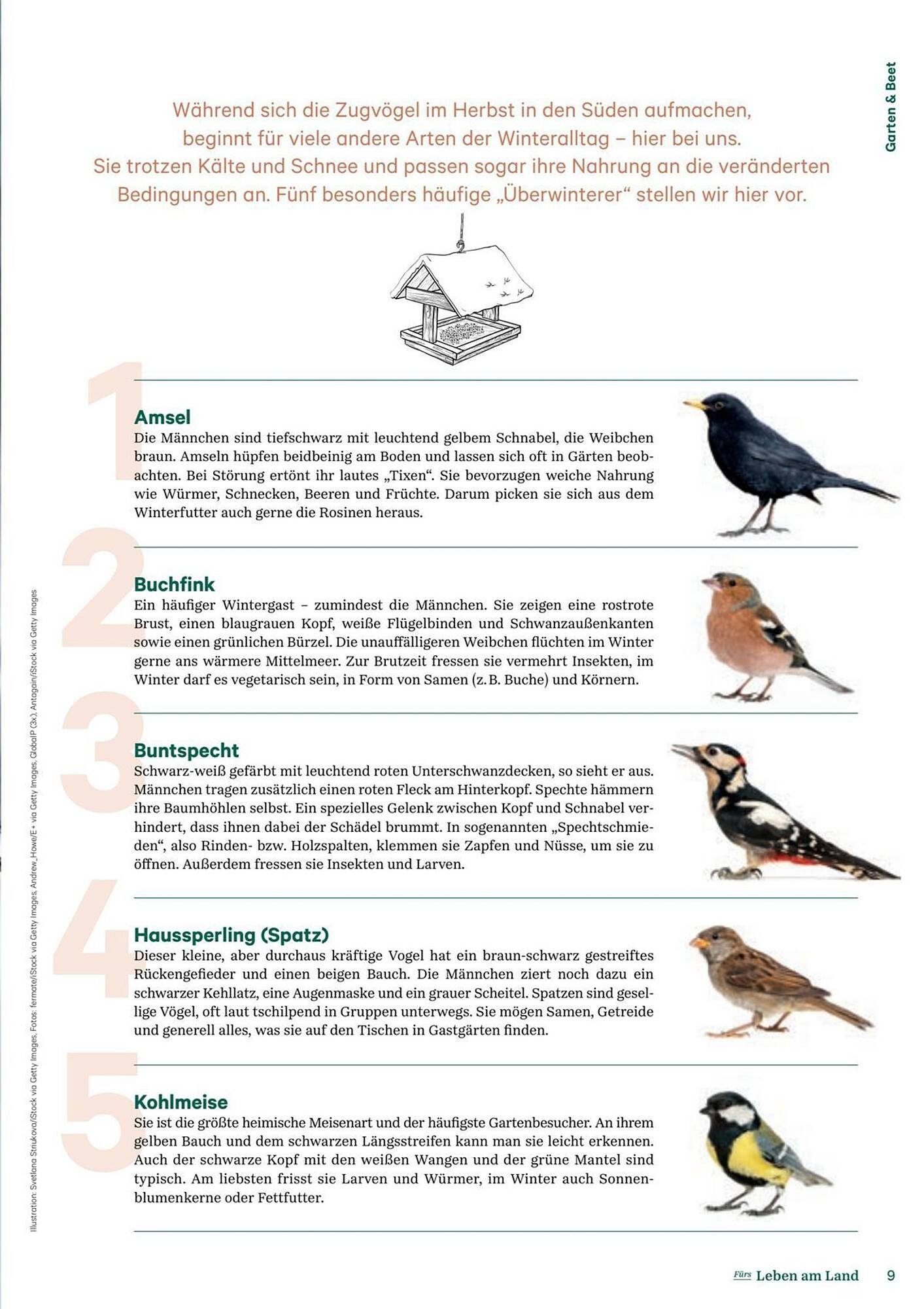 Lagerhaus Flugblatt (2025-12-11 - 2026-02-06) | 9