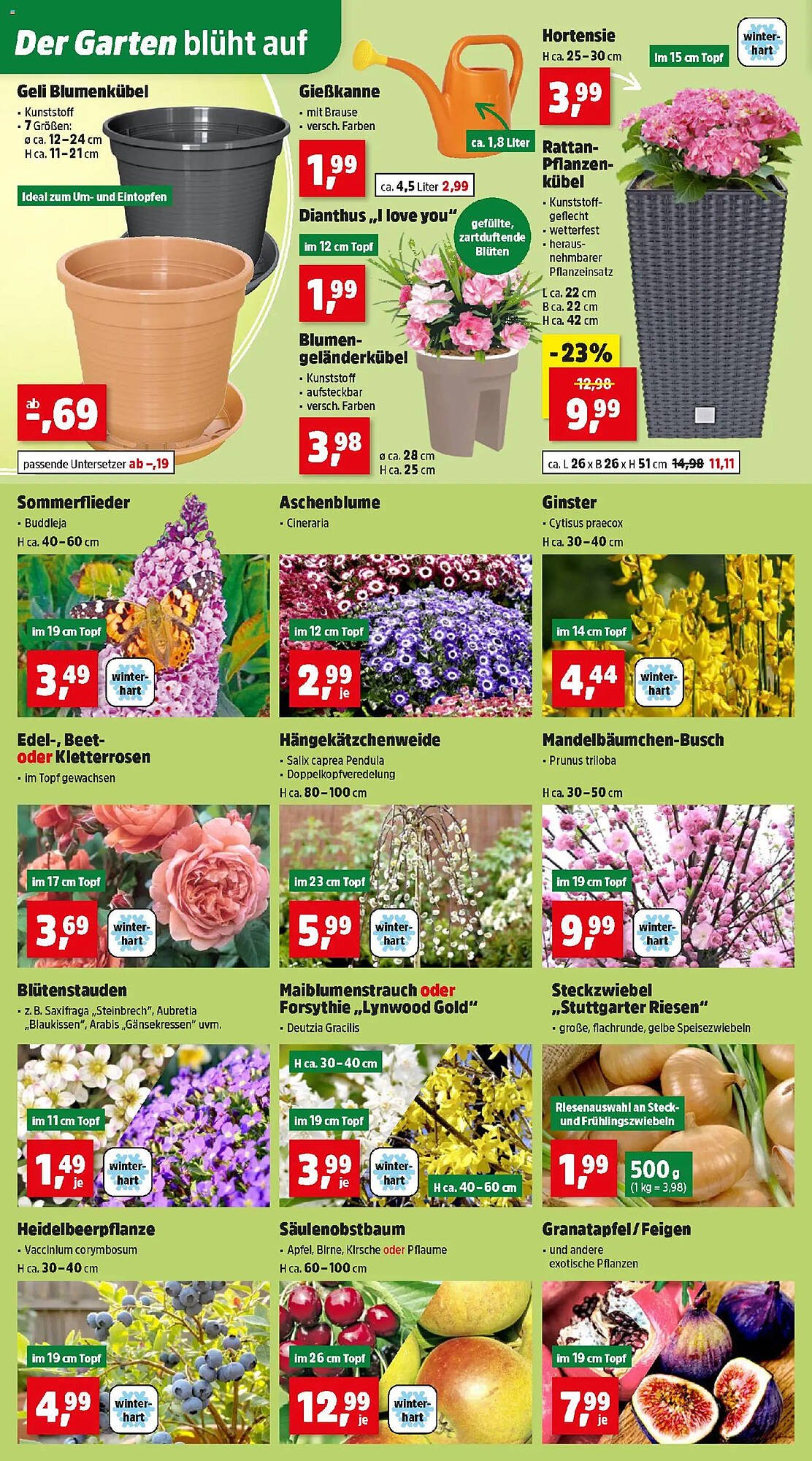 Thomas Philipps Prospekt