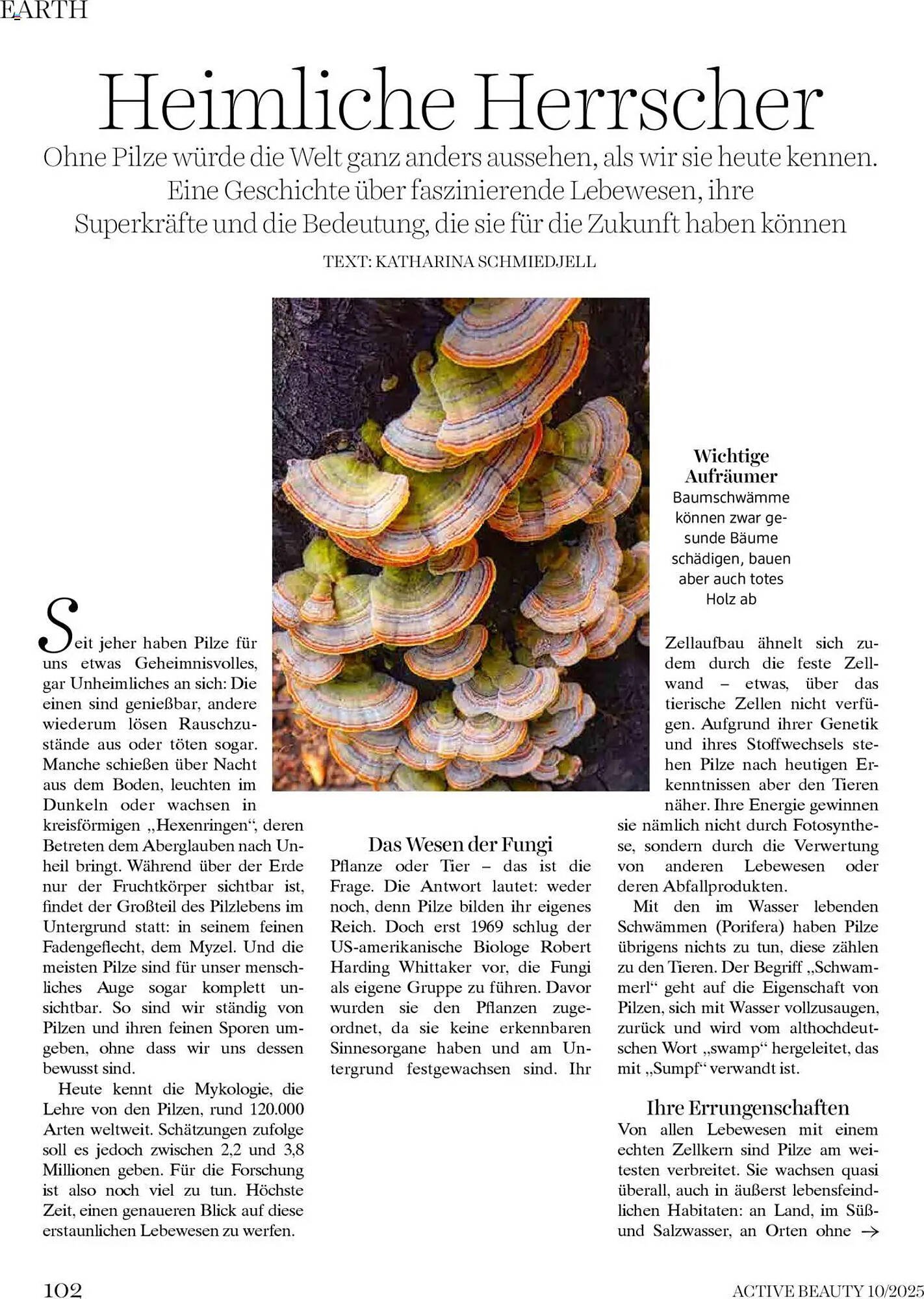 Dm Flugblatt (2025-10-01 - 2025-10-31)