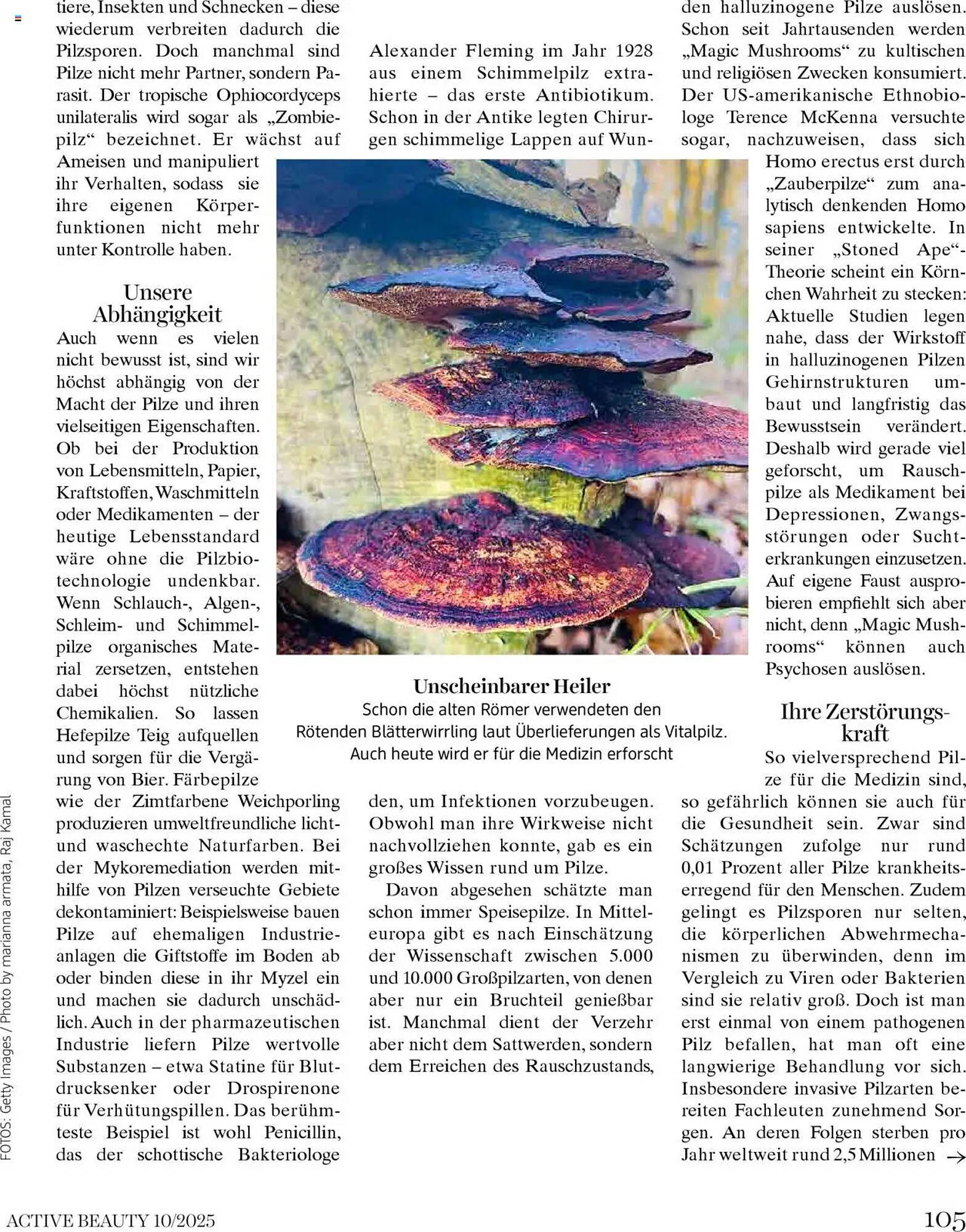 Dm Flugblatt (2025-10-01 - 2025-10-31)