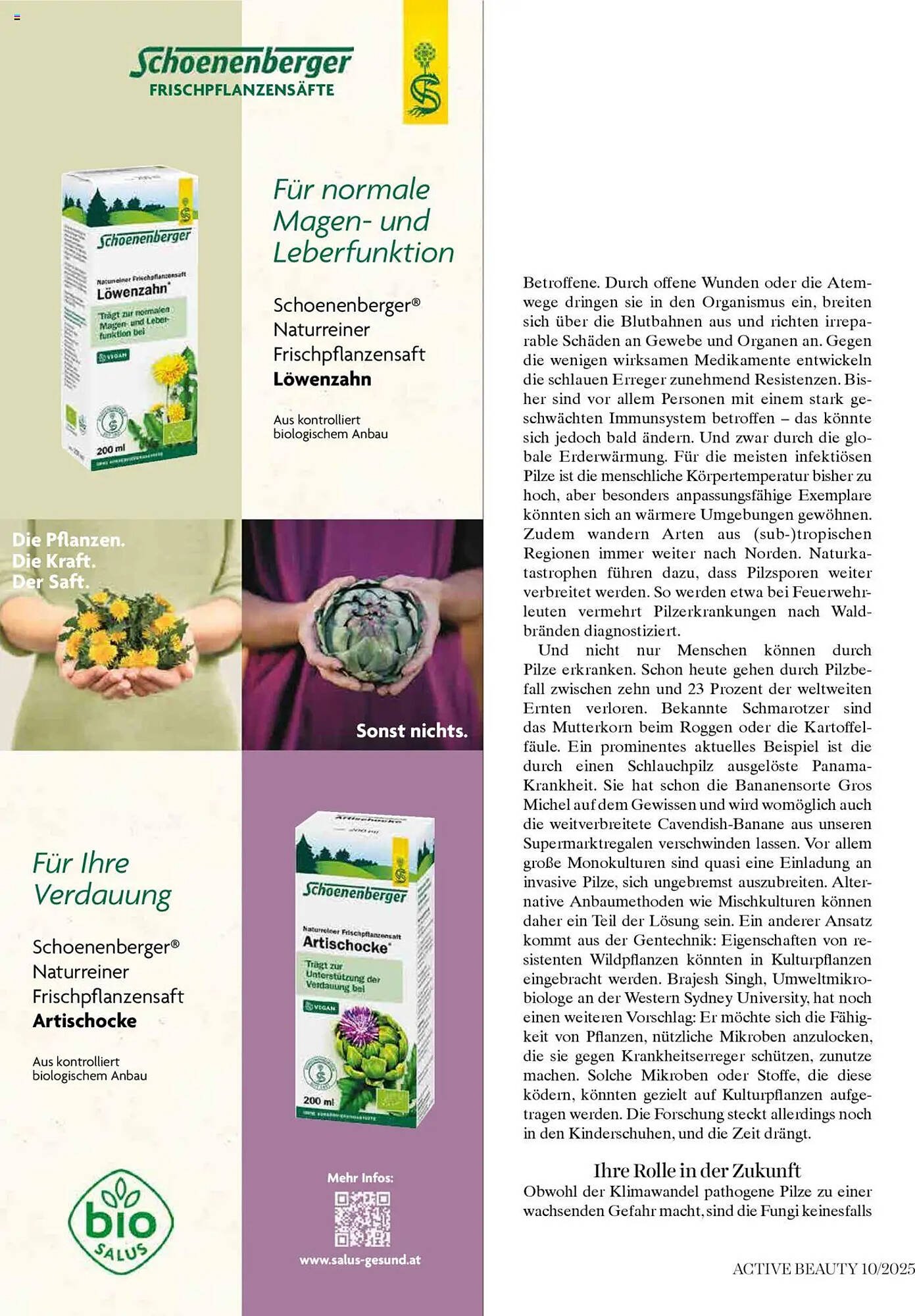 Dm Flugblatt (2025-10-01 - 2025-10-31)