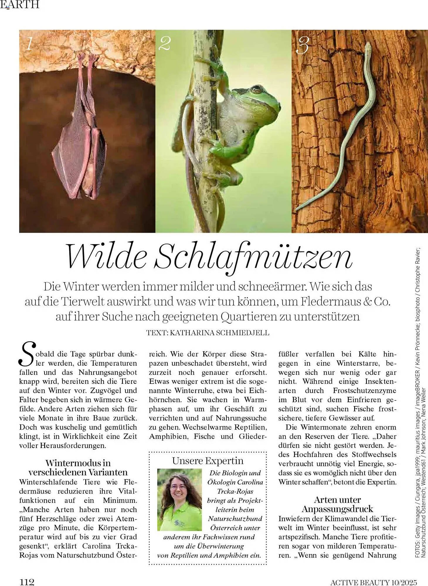 Dm Flugblatt (2025-10-01 - 2025-10-31)