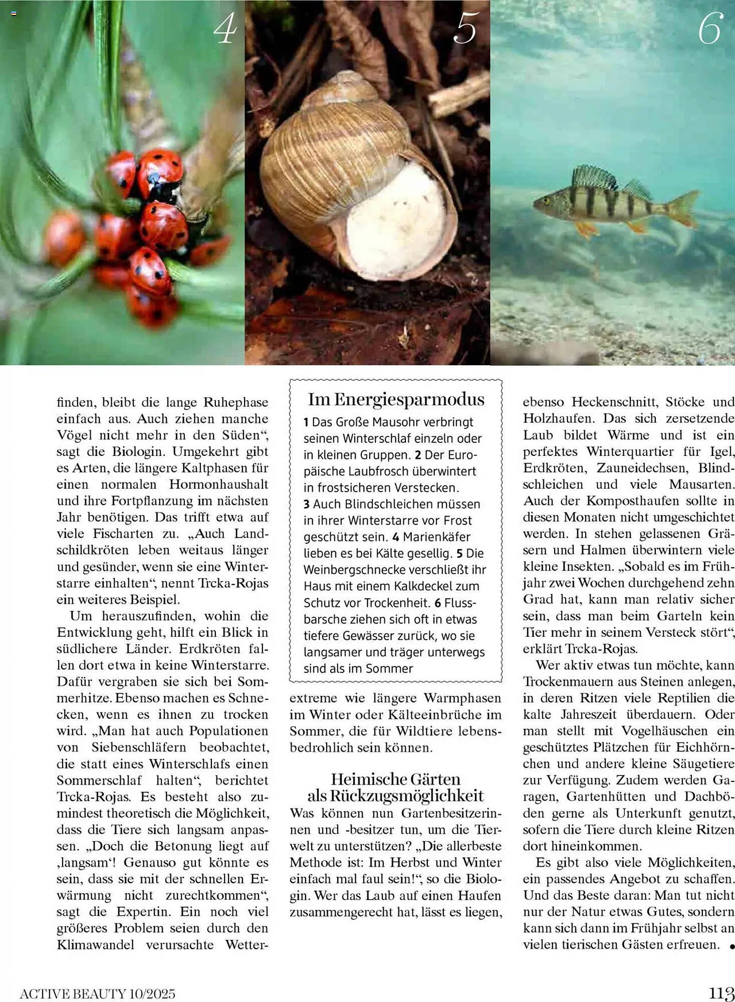 Dm Flugblatt (2025-10-01 - 2025-10-31)
