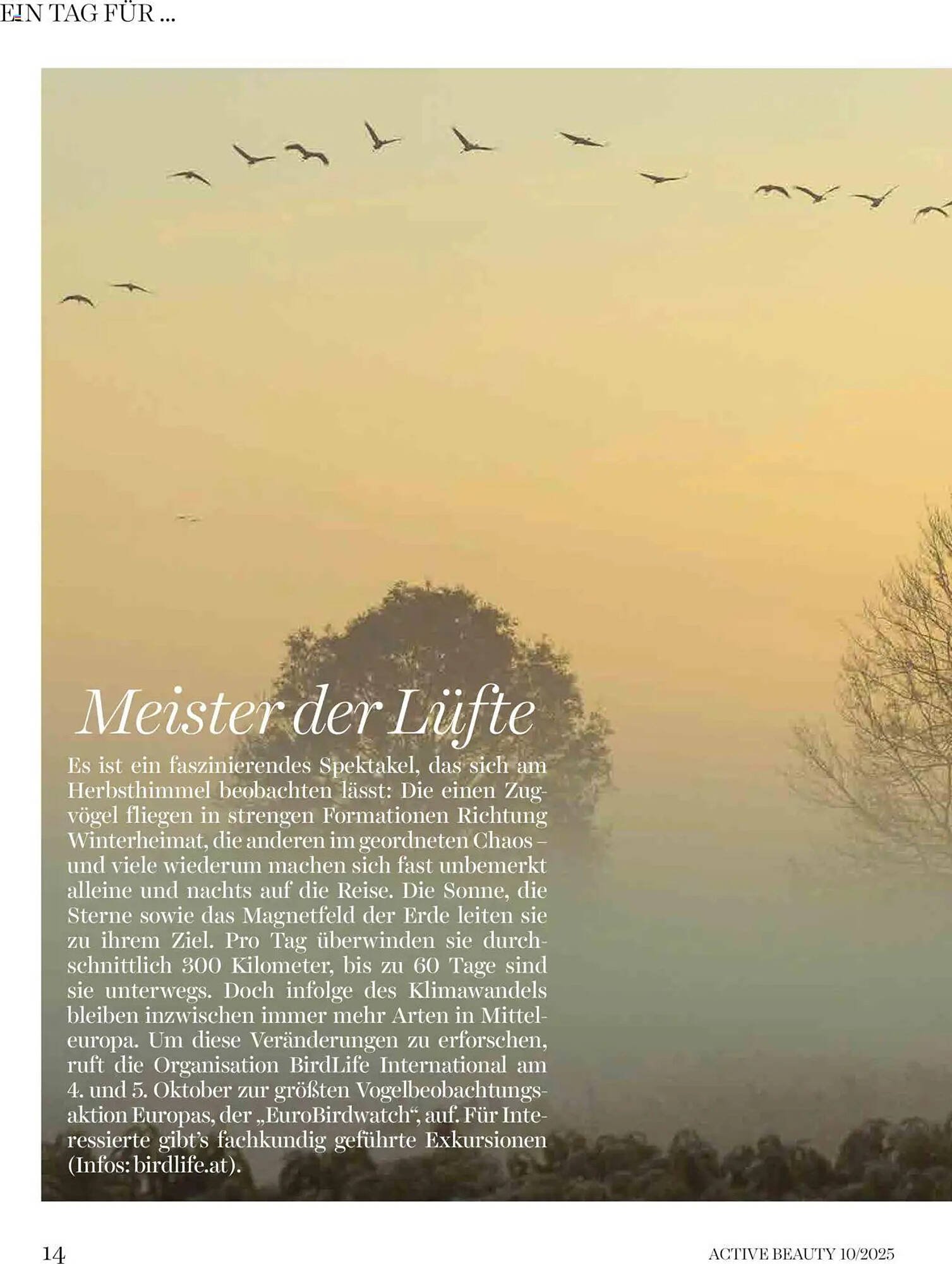 Dm Flugblatt (2025-10-01 - 2025-10-31)