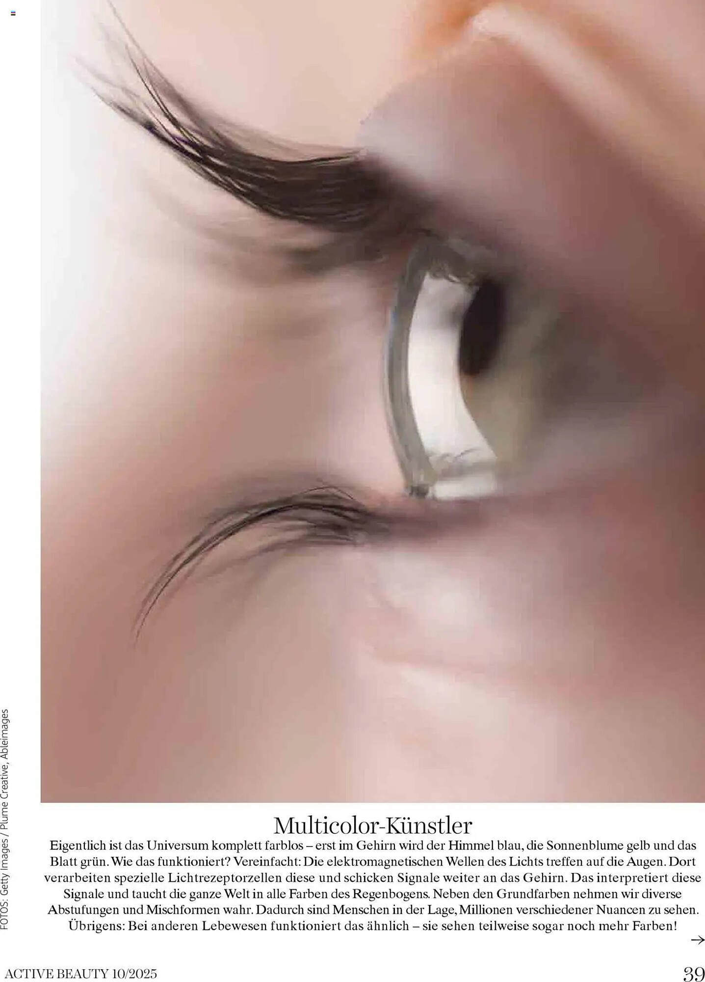Dm Flugblatt (2025-10-01 - 2025-10-31)