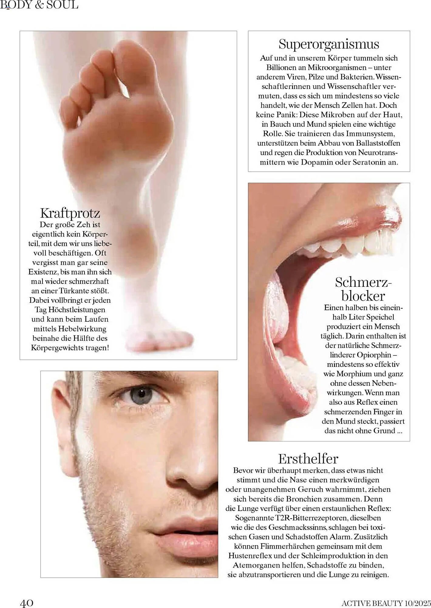 Dm Flugblatt (2025-10-01 - 2025-10-31)