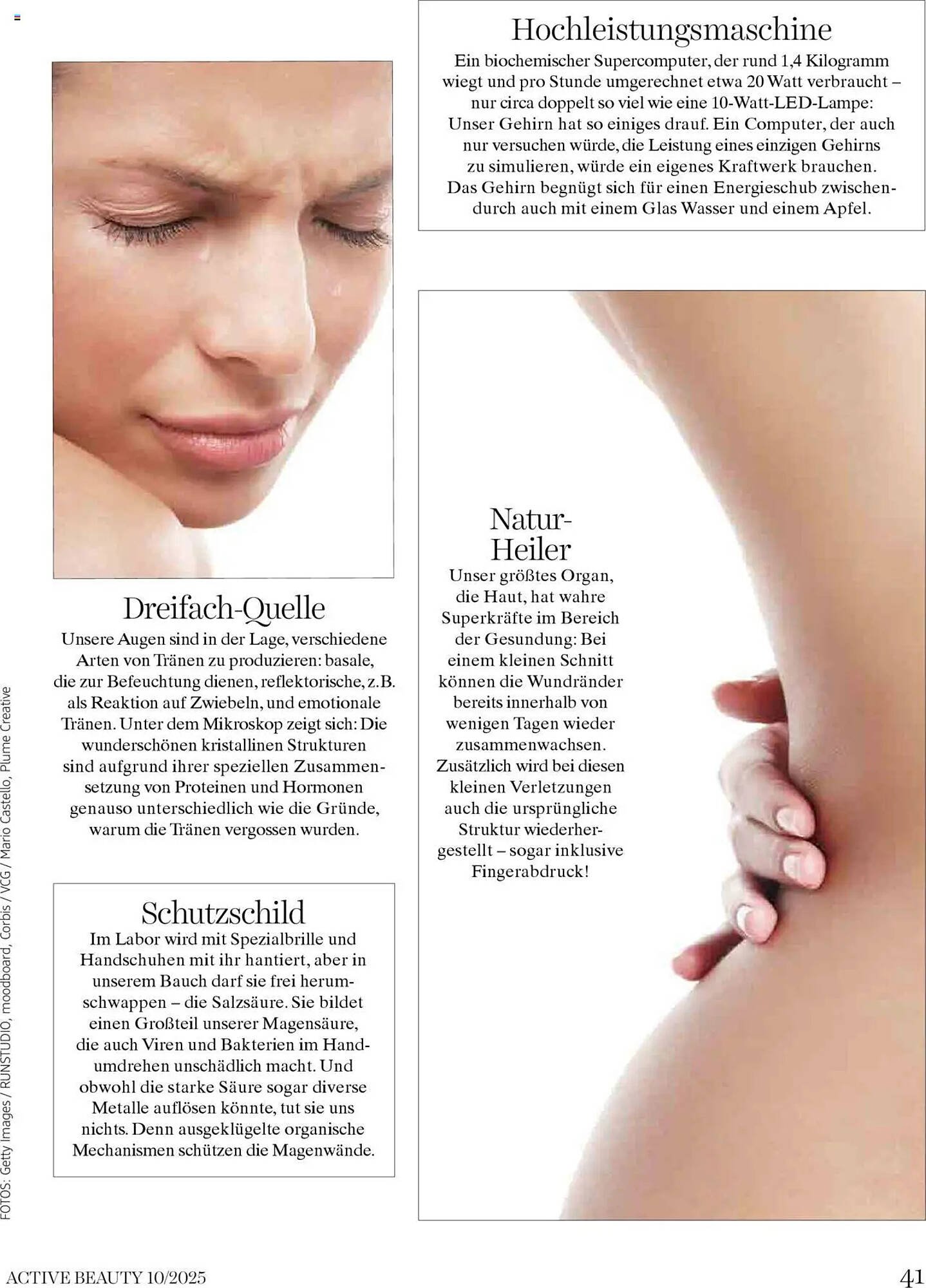 Dm Flugblatt (2025-10-01 - 2025-10-31)