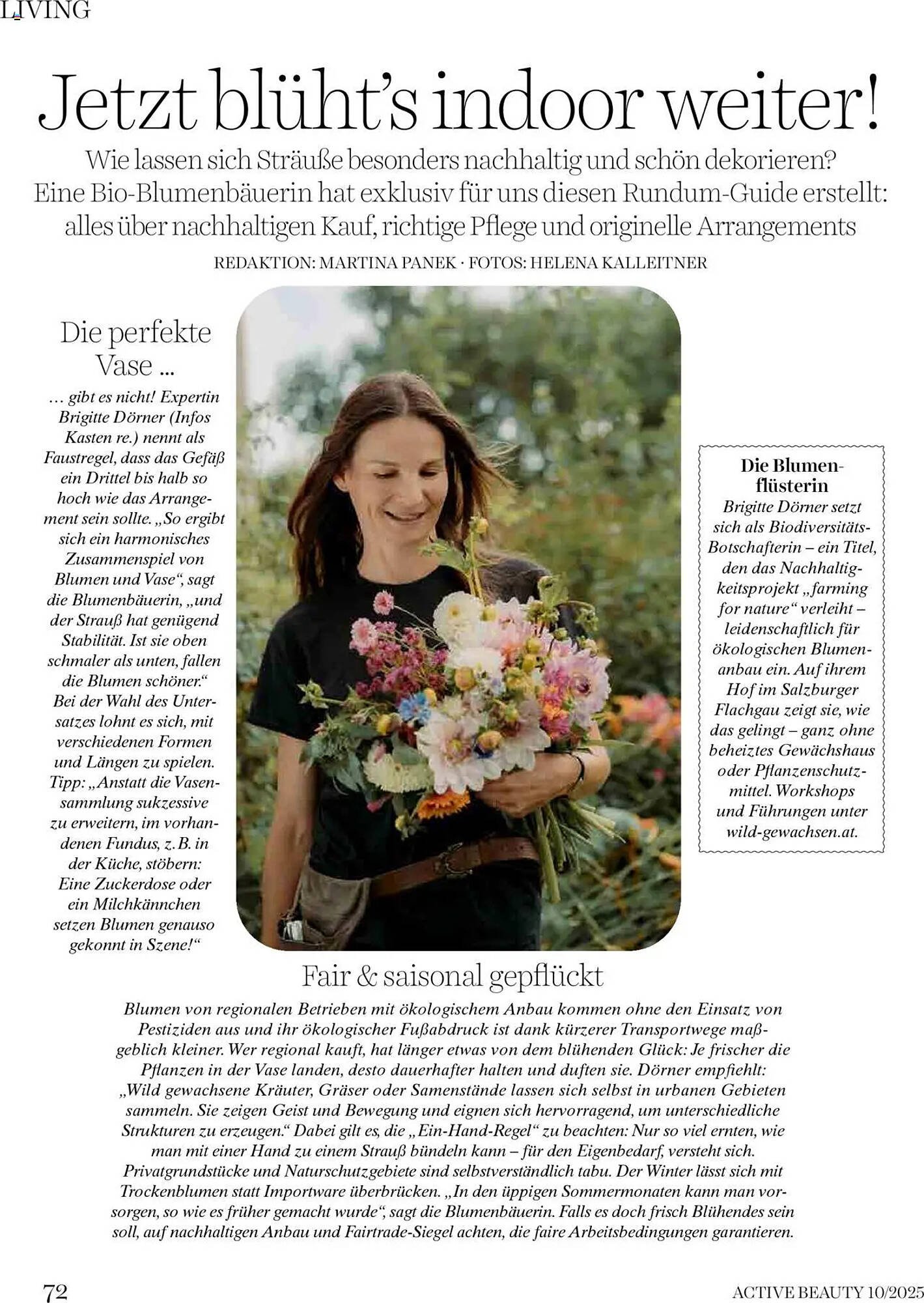 Dm Flugblatt (2025-10-01 - 2025-10-31)