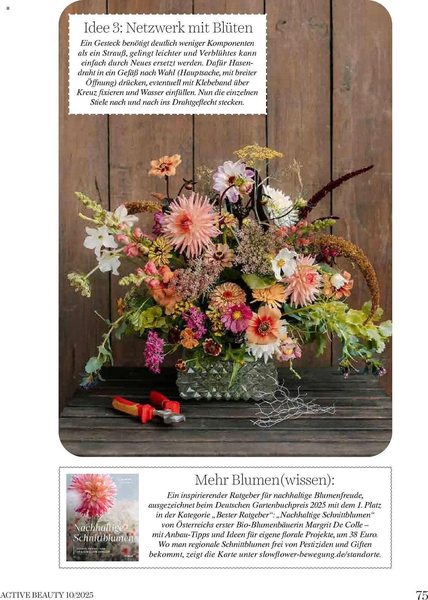 Dm Flugblatt (2025-10-01 - 2025-10-31)