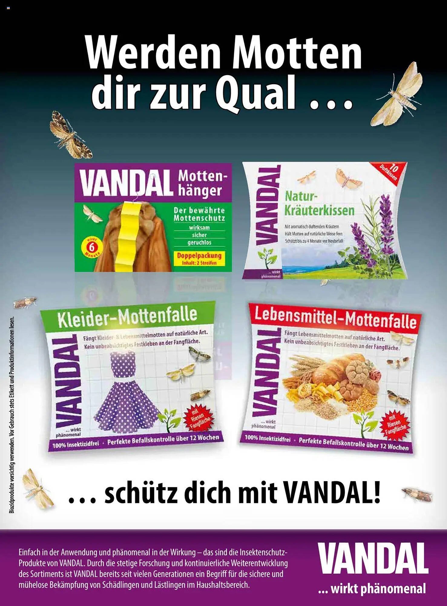 Dm Flugblatt (2025-10-01 - 2025-10-31)