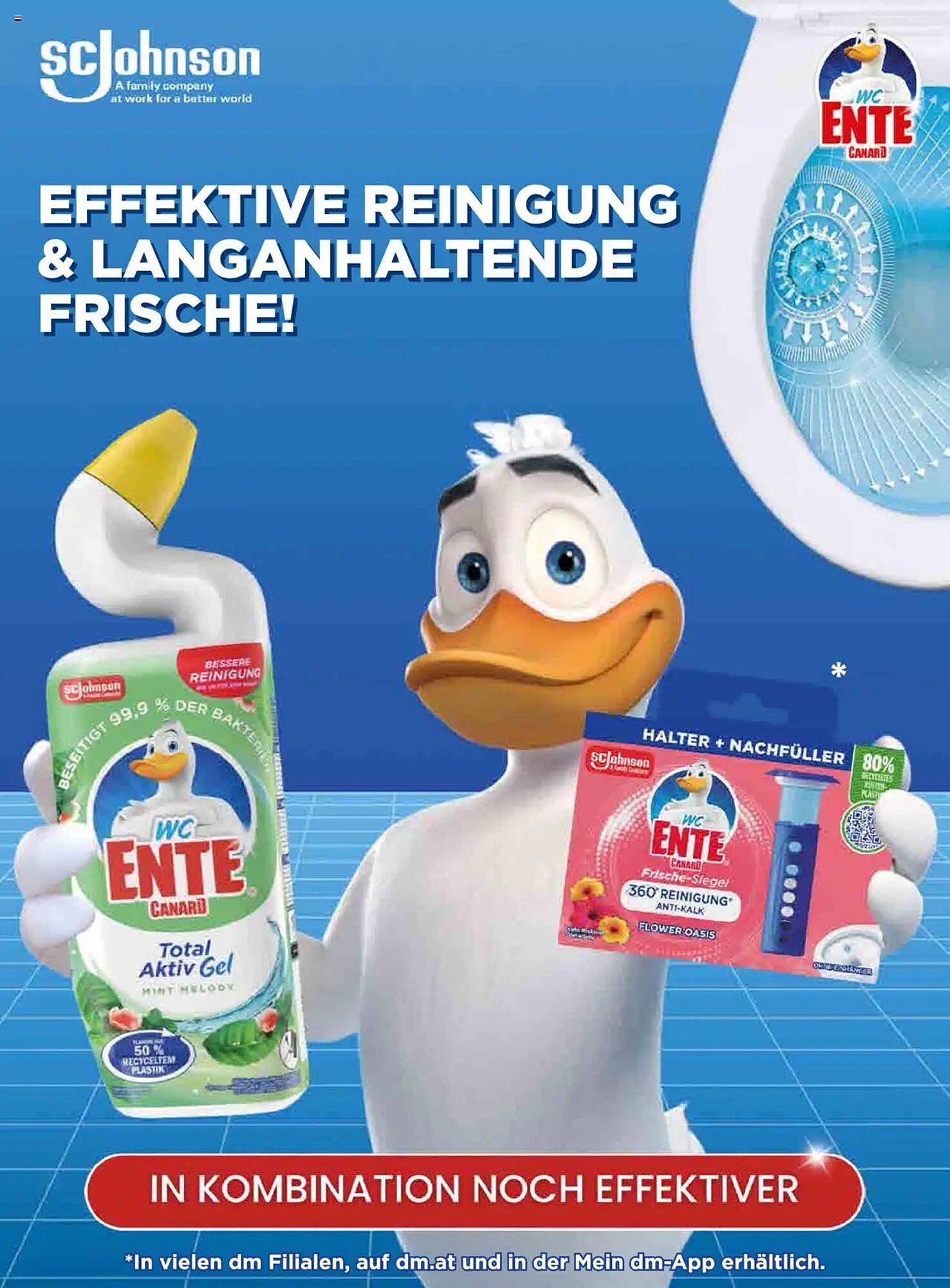 Dm Flugblatt (2025-10-01 - 2025-10-31)