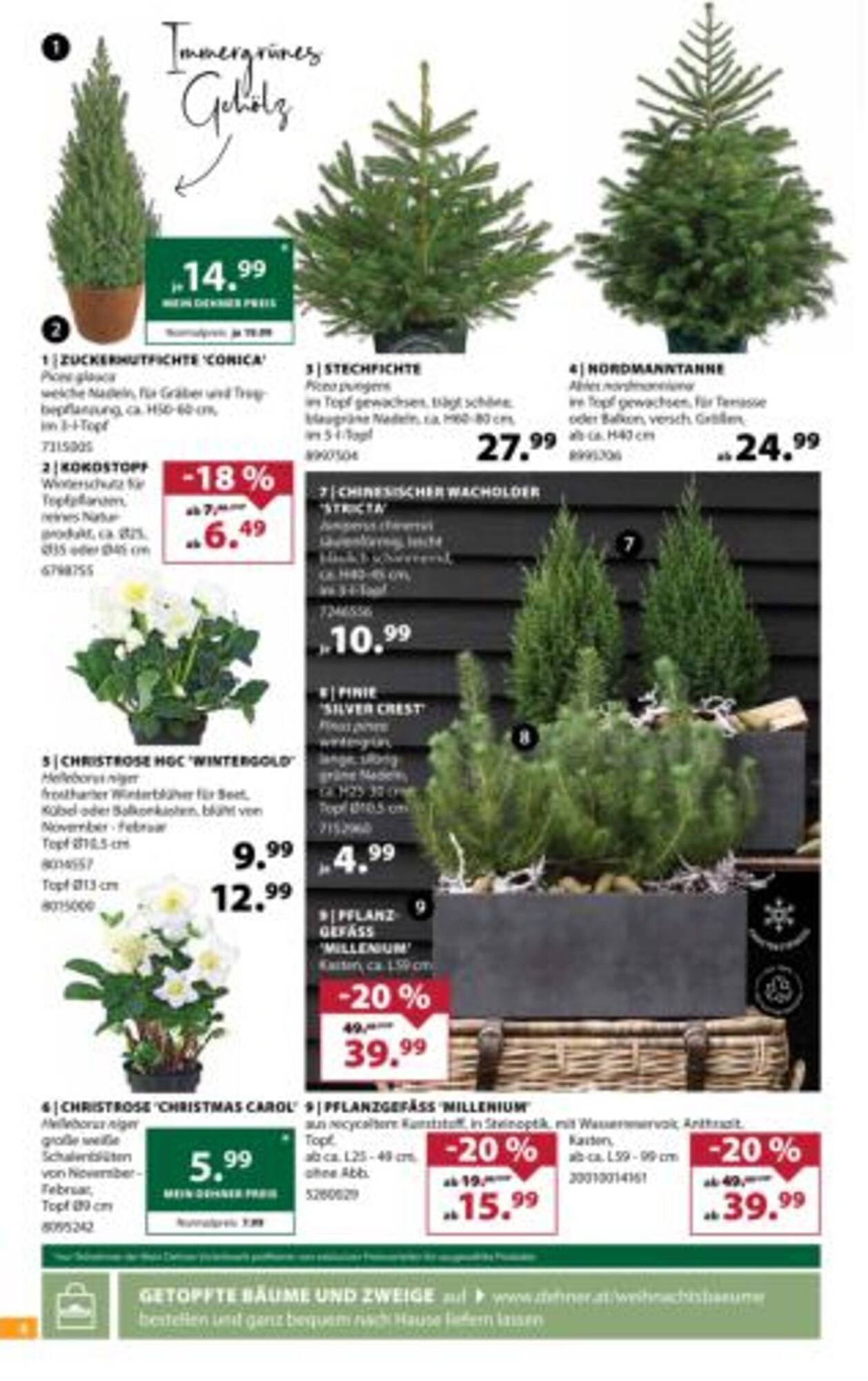 Dehner Flugblatt (2025-11-19 - 2025-11-24)