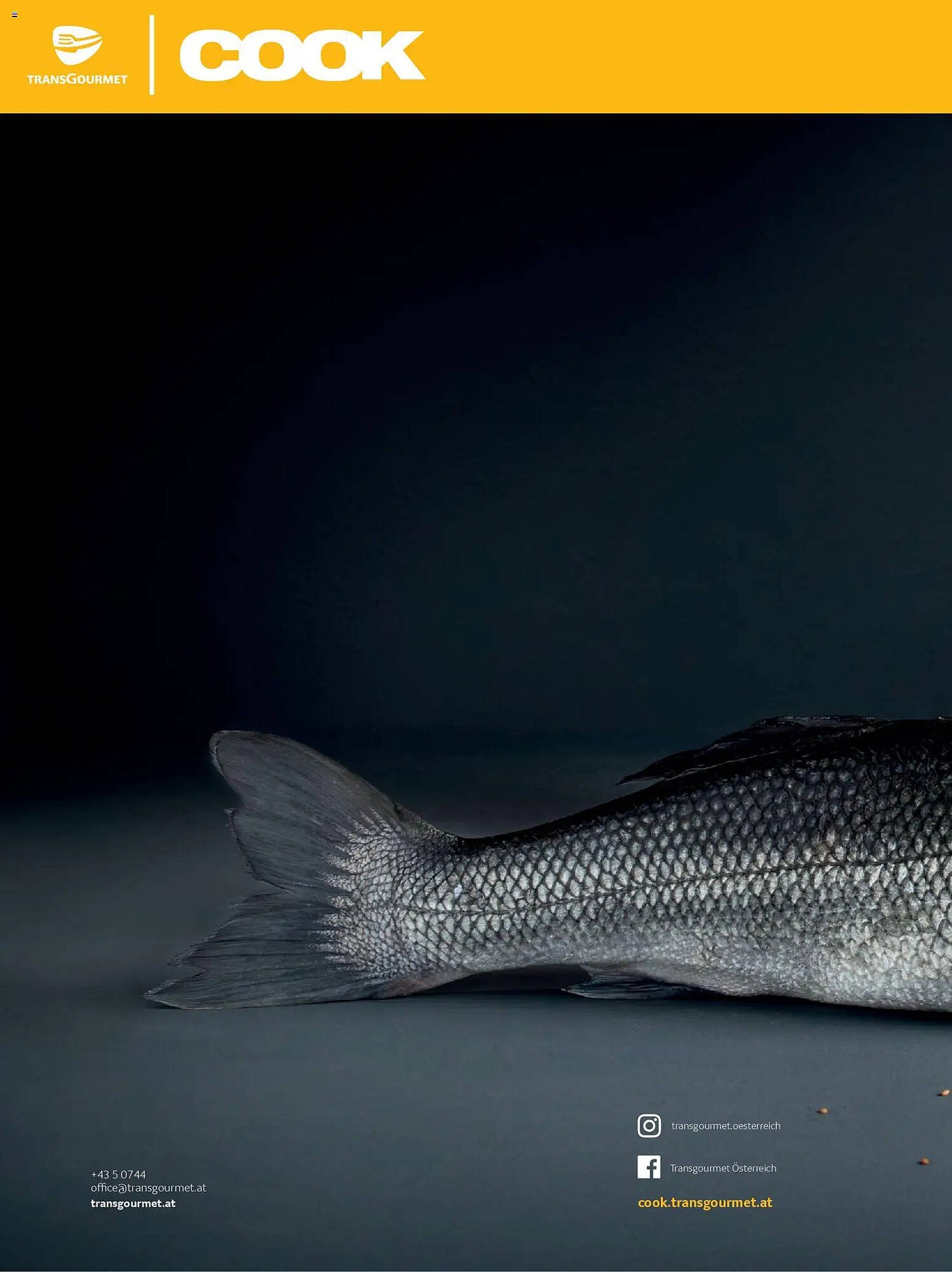 Transgourmet Flugblatt