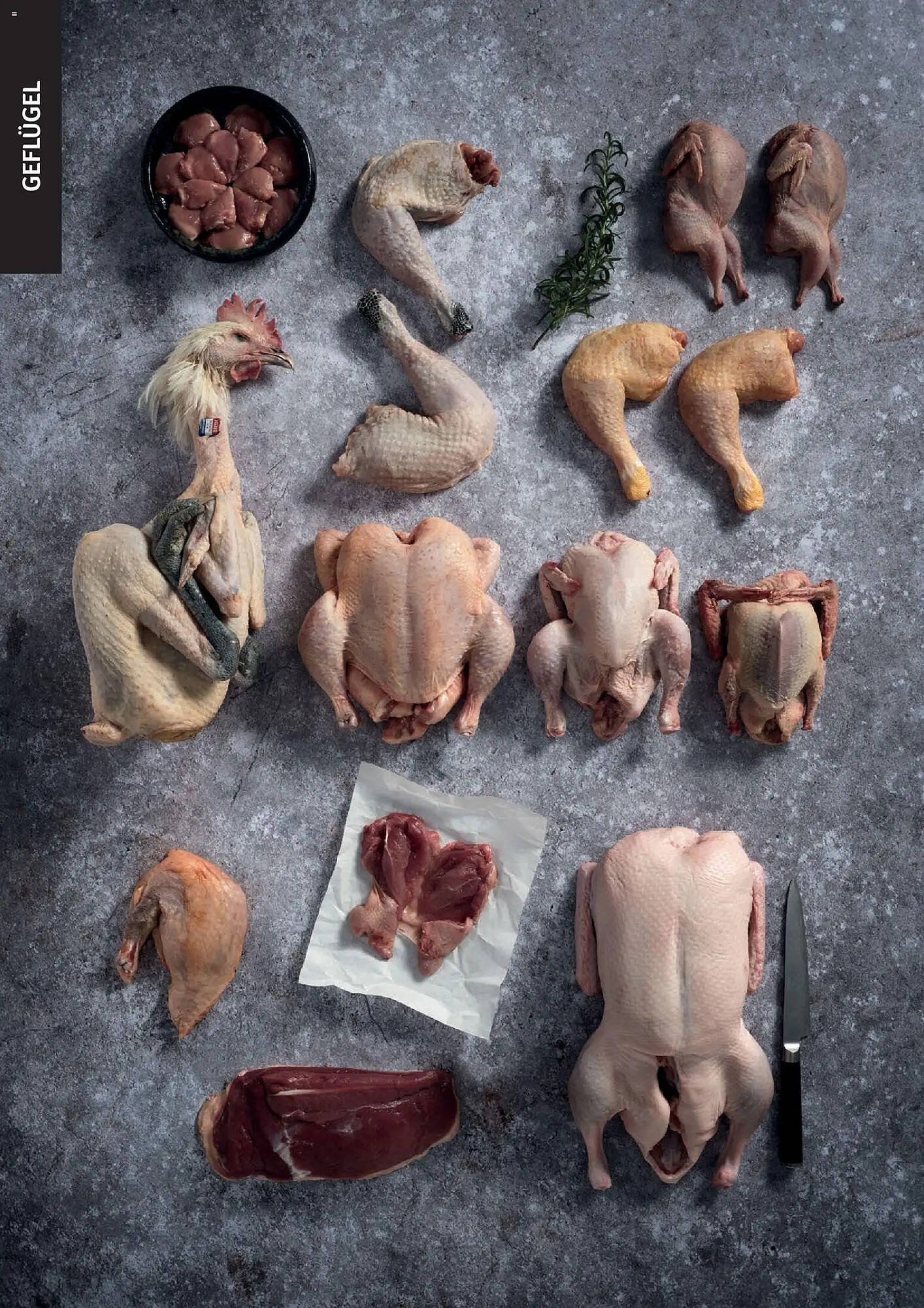 Transgourmet Flugblatt