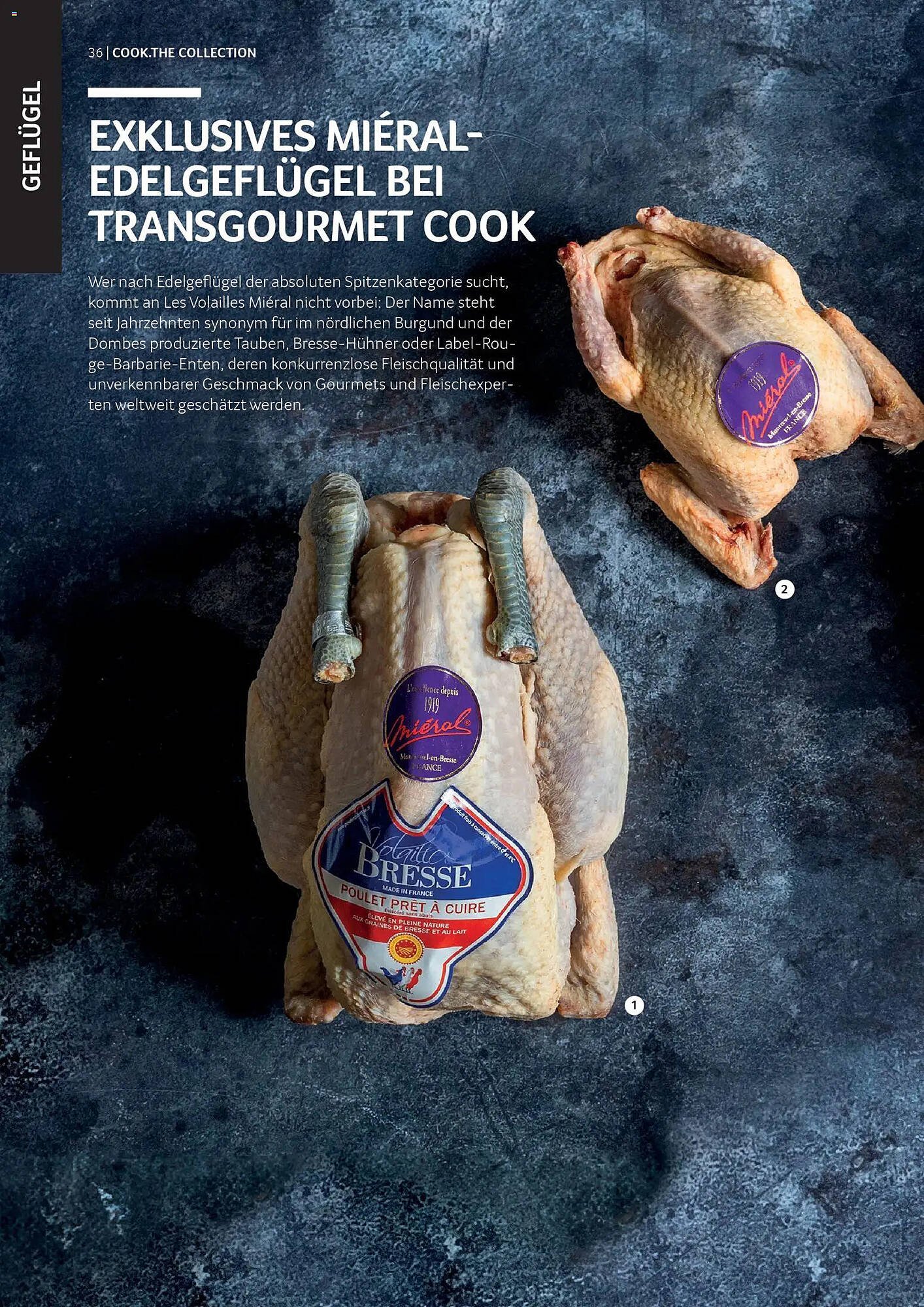 Transgourmet Flugblatt