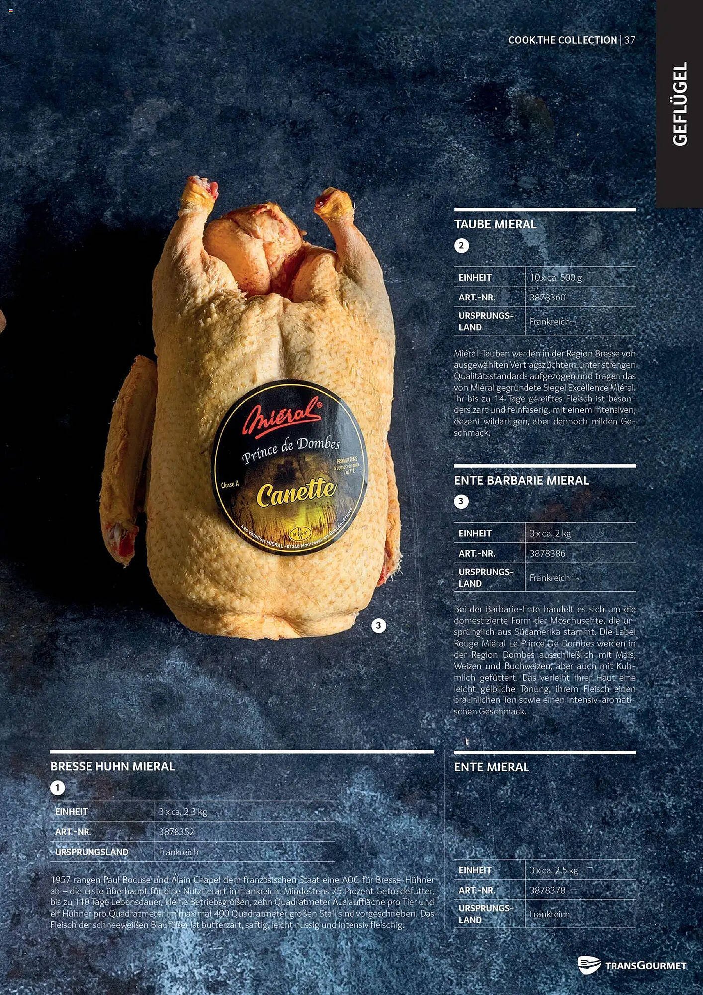 Transgourmet Flugblatt