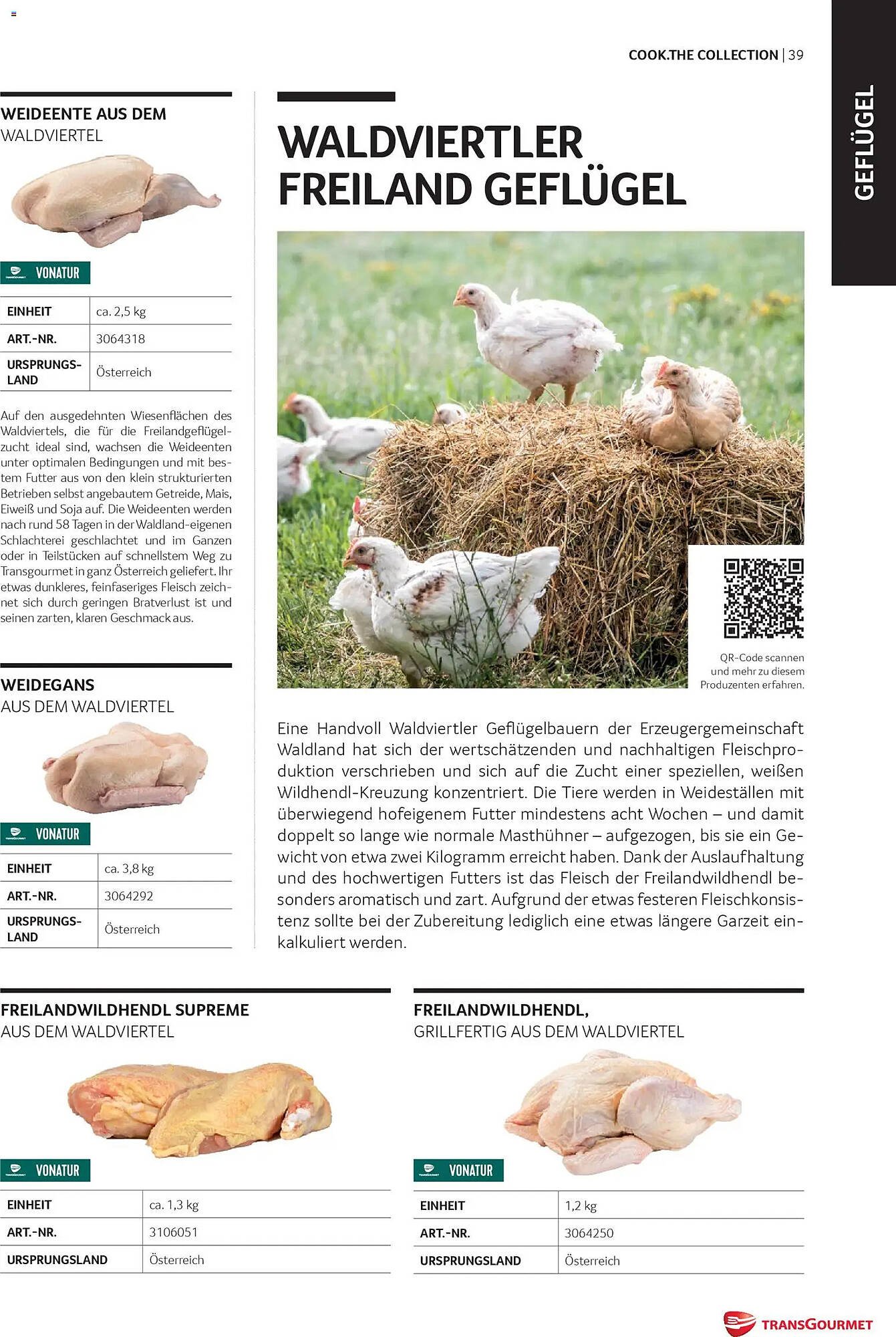 Transgourmet Flugblatt