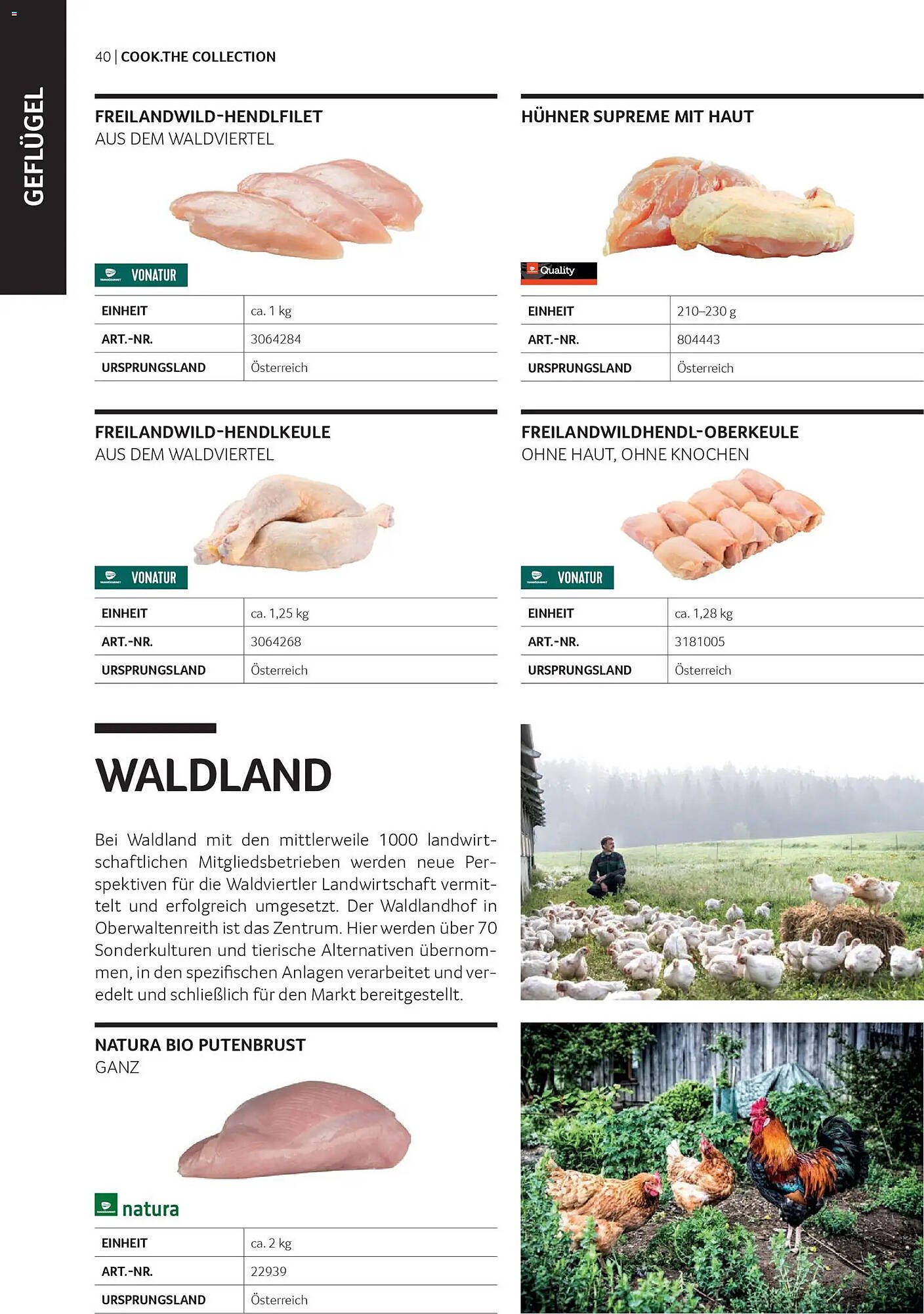 Transgourmet Flugblatt