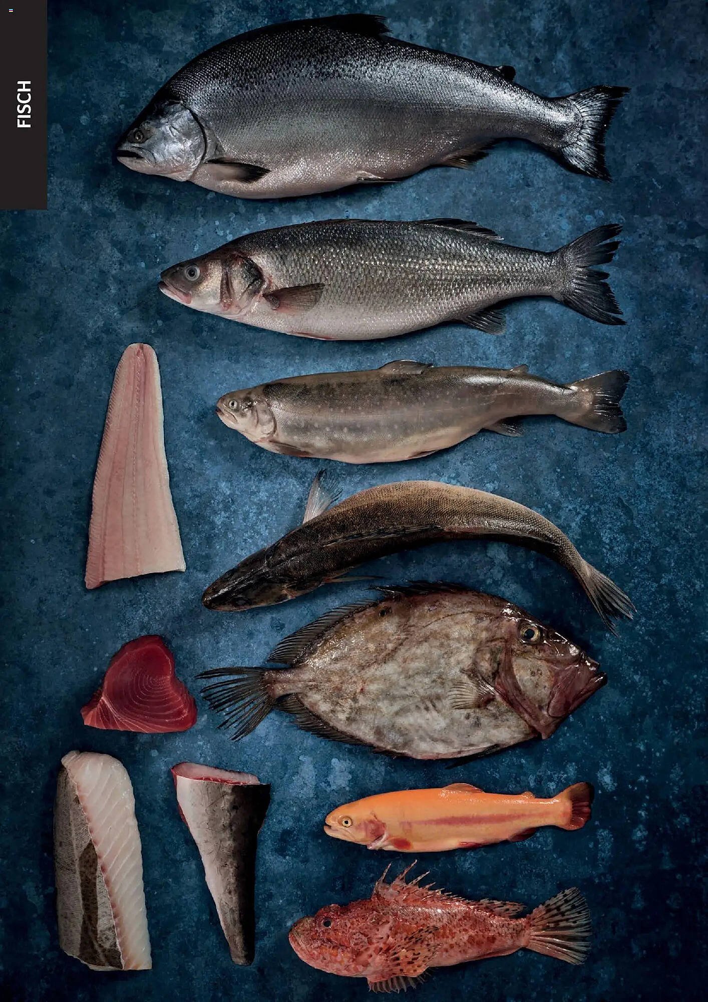 Transgourmet Flugblatt