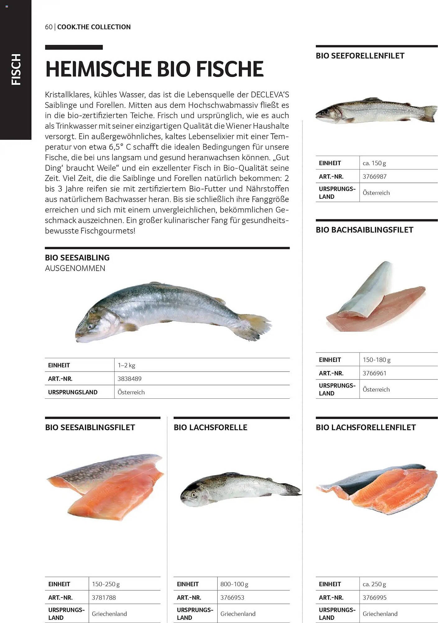 Transgourmet Flugblatt